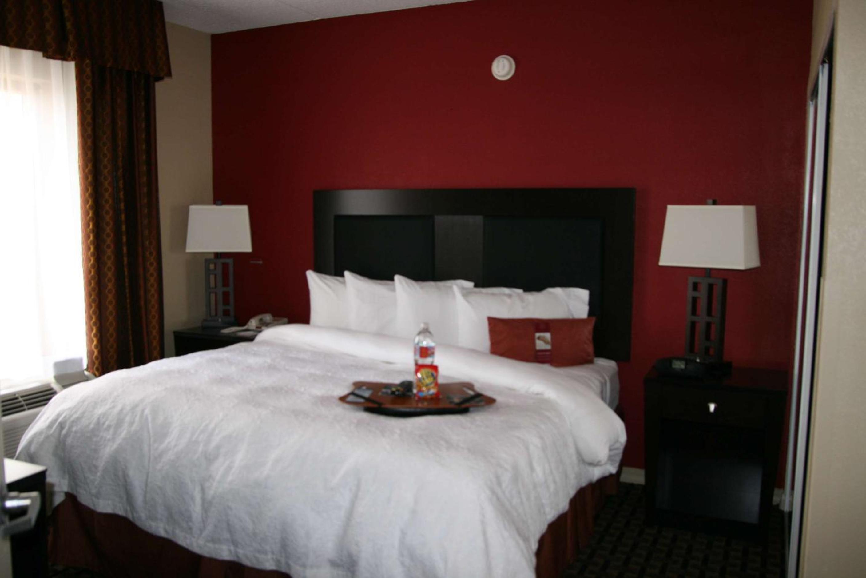 One-Bedroom King Suite with Kitchen - Non-Smoking  - Photo 5