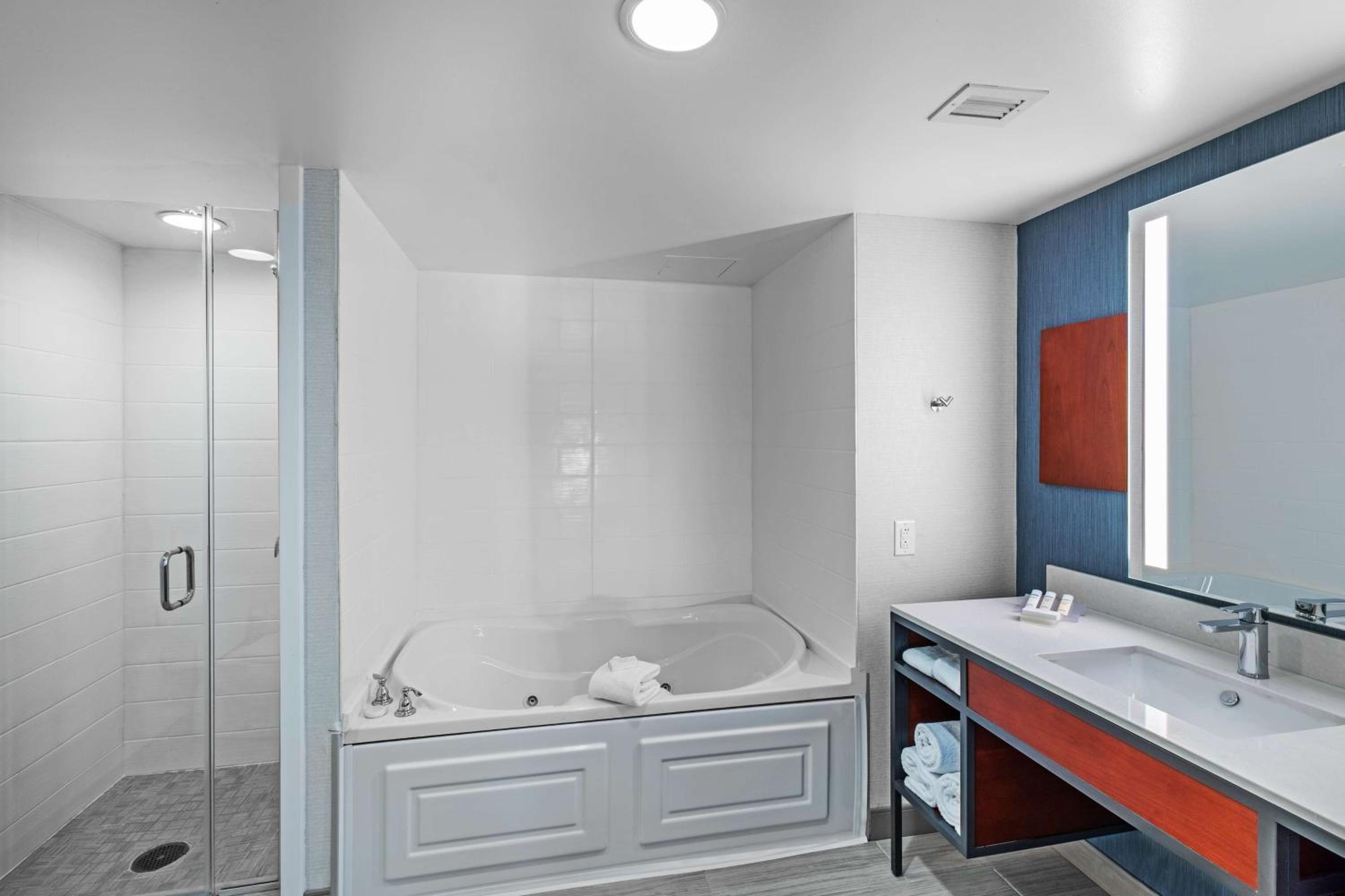 King Suite - Disability Access Hearing Accessible Roll-In Shower photo 2