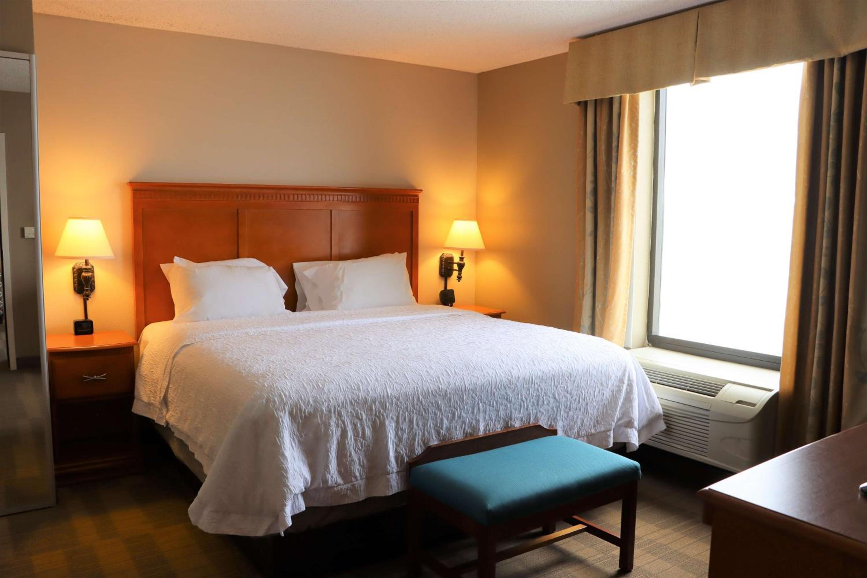 One-Bedroom King Suite with Whirlpool - Non-Smoking  photo 1