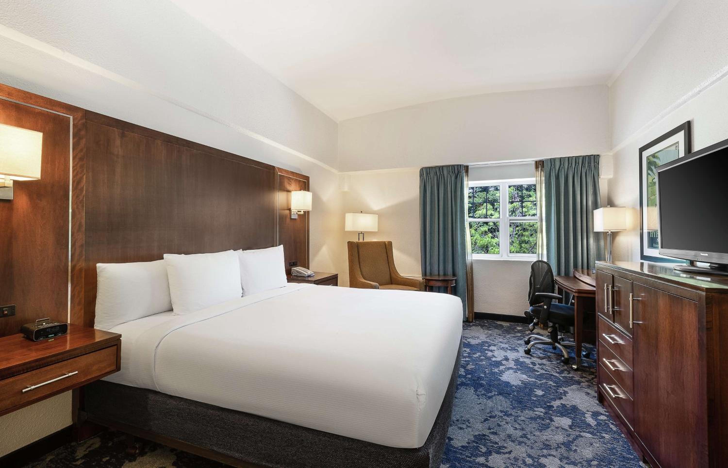 King Room - Non-Smoking - Photo 1