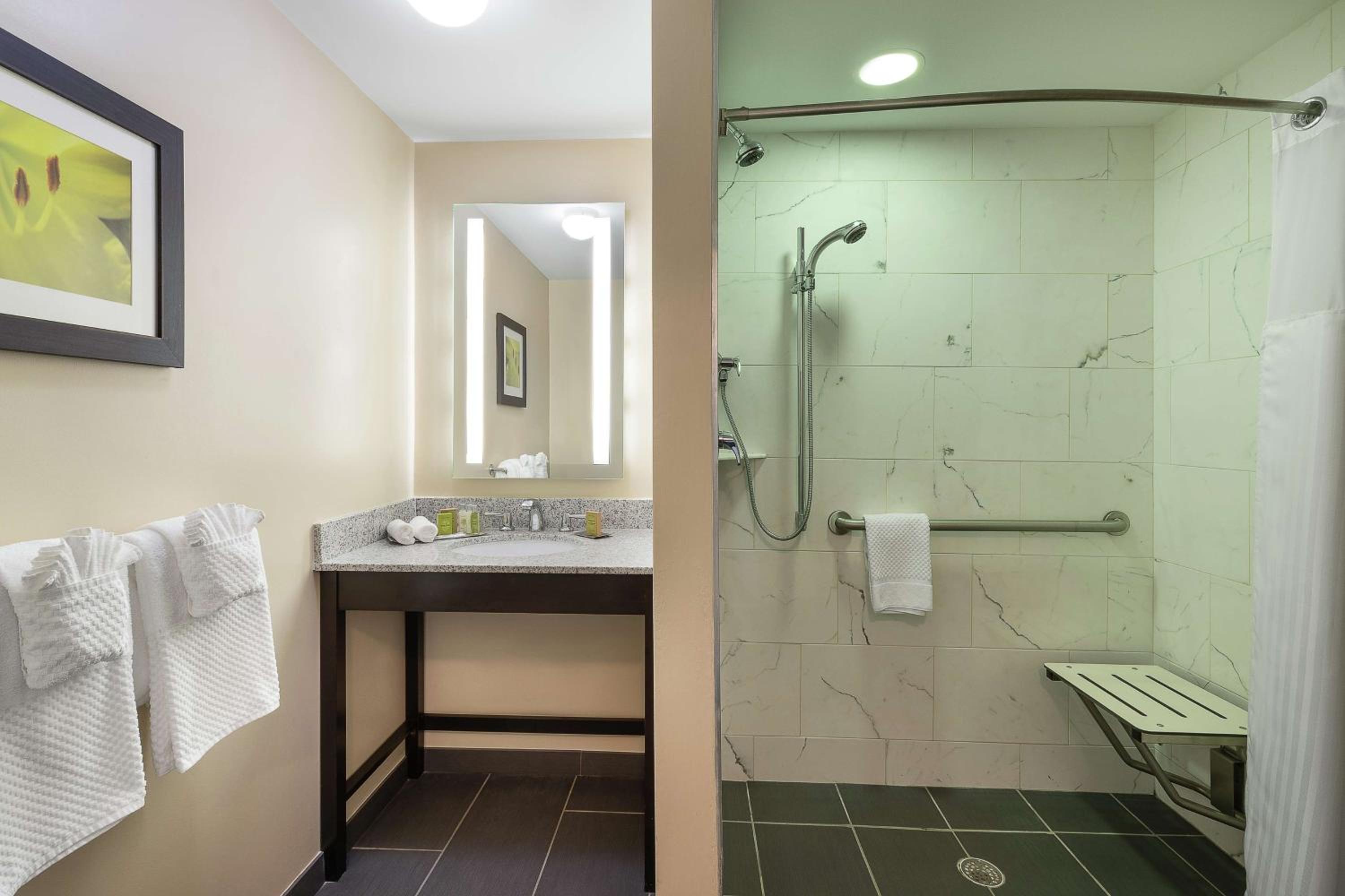 King Room with Roll-In Shower - Mobility Access/Non-Smoking - Photo 3