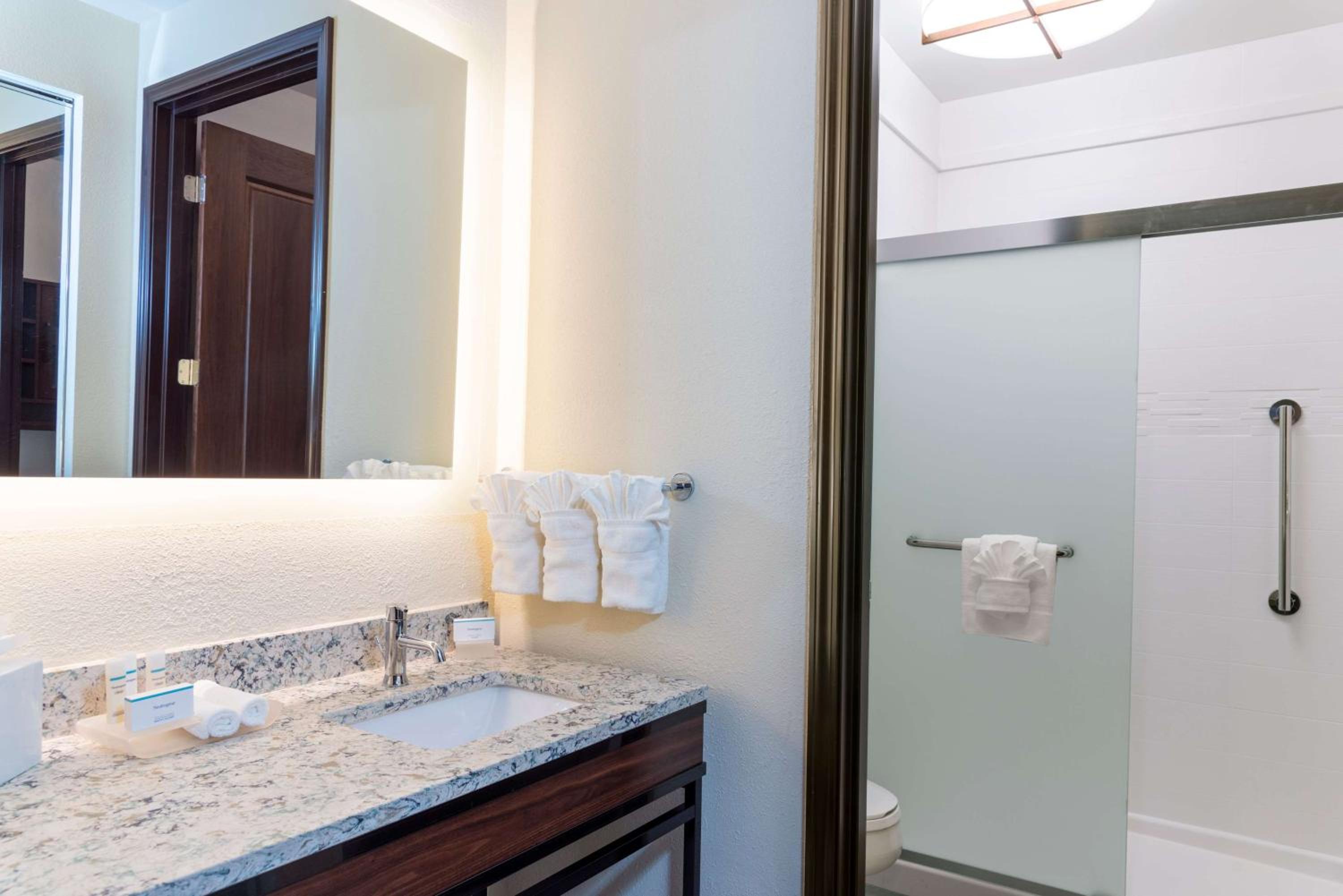 King Studio Suite - Non-Smoking - Photo 4