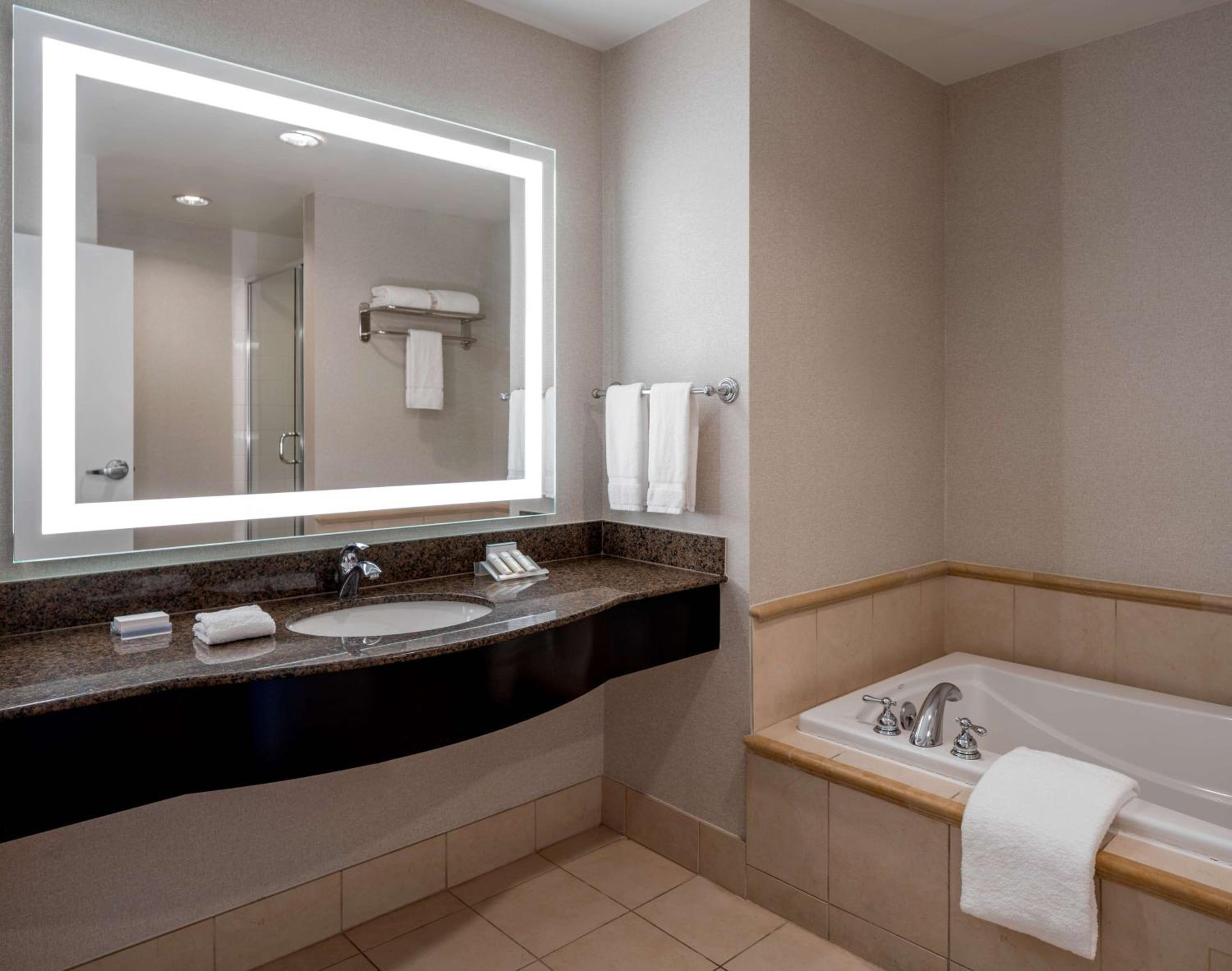 One-Bedroom King Suite with Sofa Bed - Photo 4