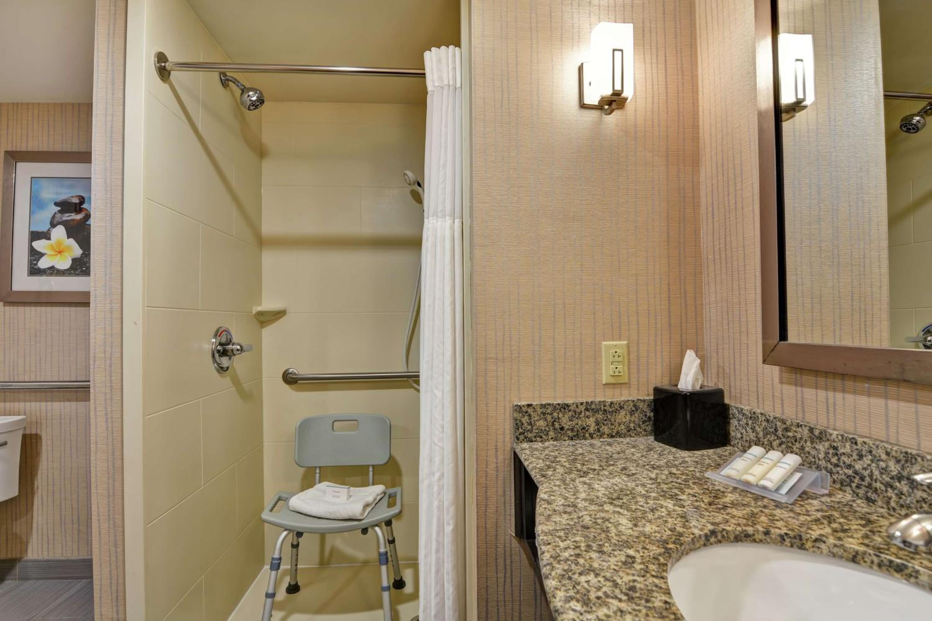 King Suite - Hearing Accessible photo 3