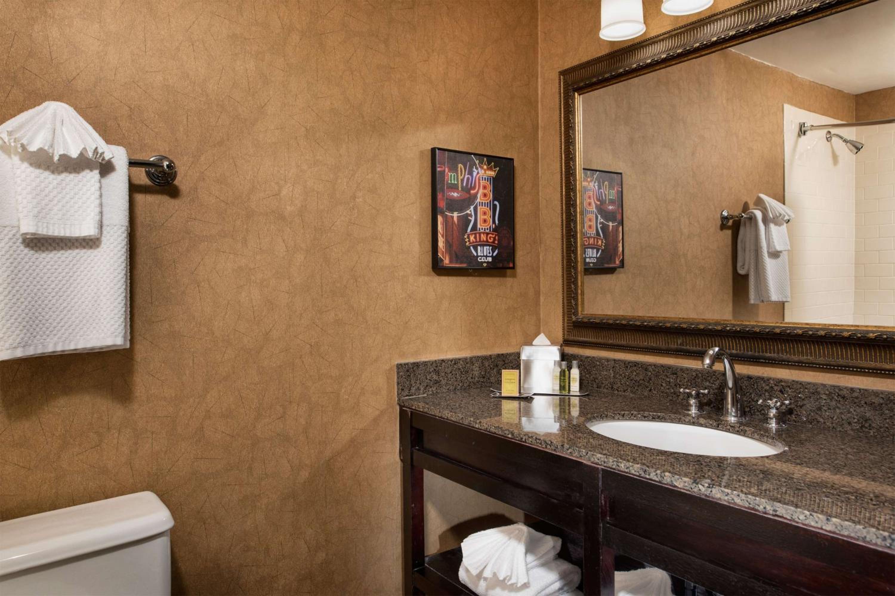 Queen Room With Roll-In Shower - Mobility Access/Non-Smoking photo 3