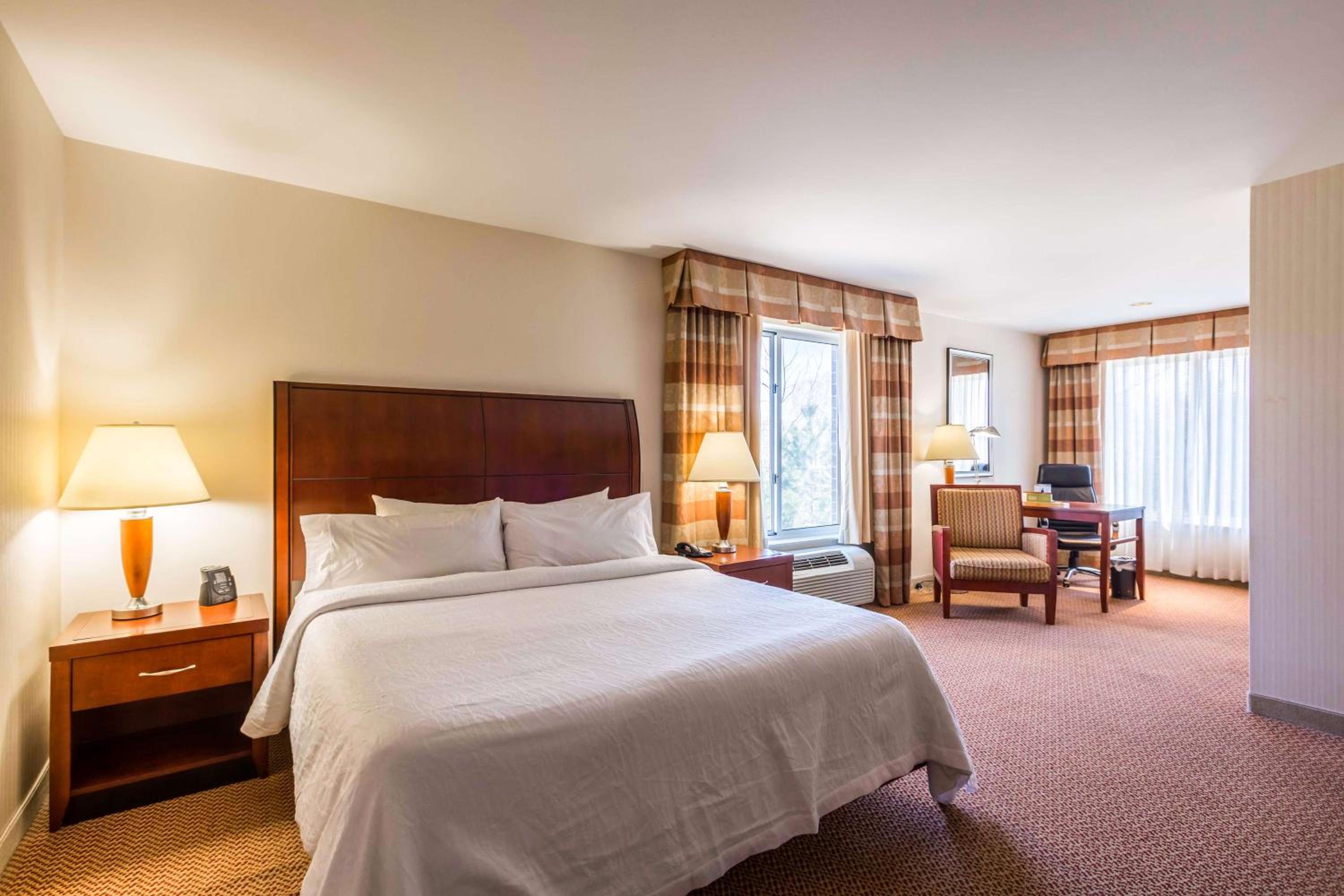 Junior Suite with One King Bed and Double Sofa Bed - Photo 1