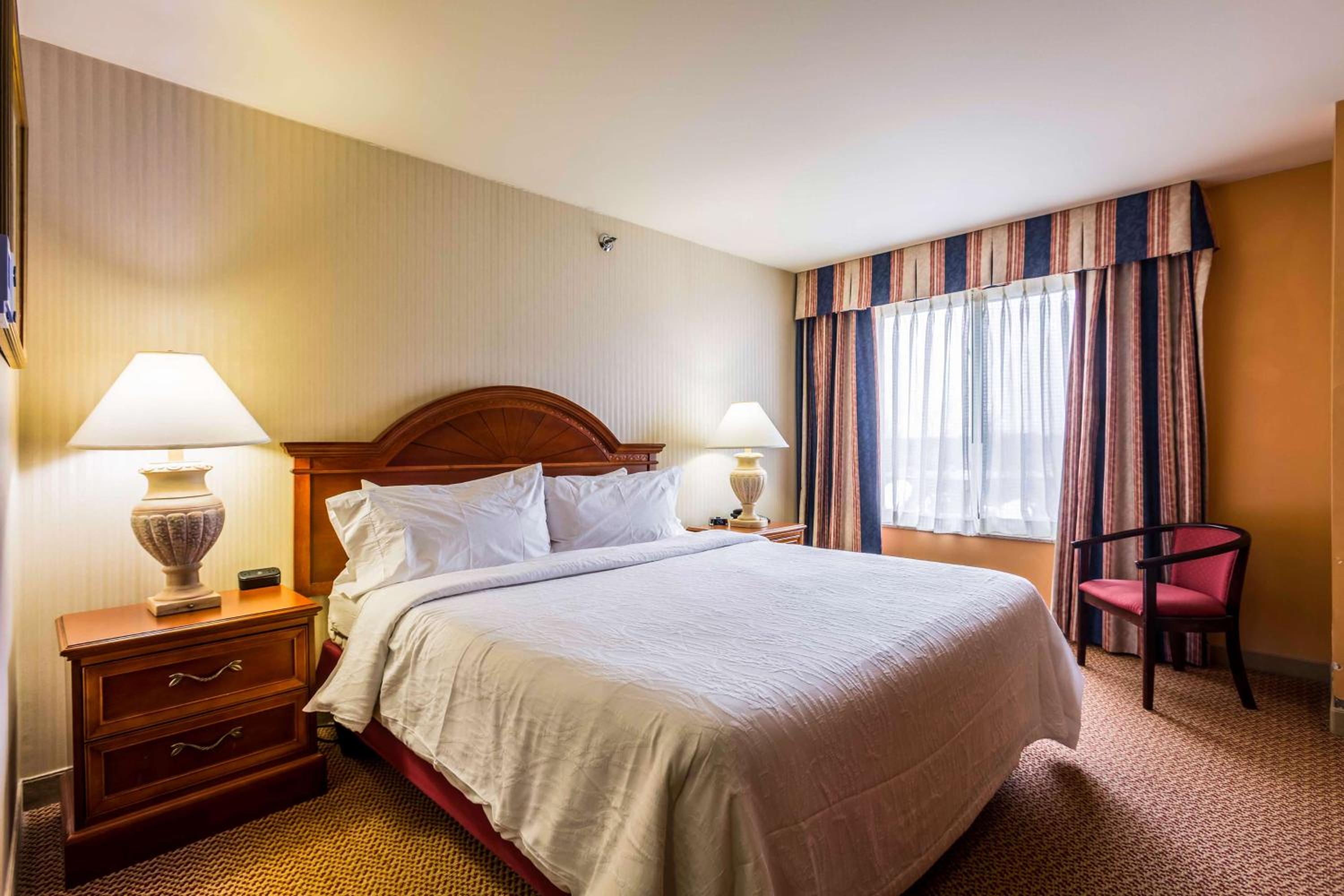 Junior Suite with One King Bed and Double Sofa Bed - Photo 3