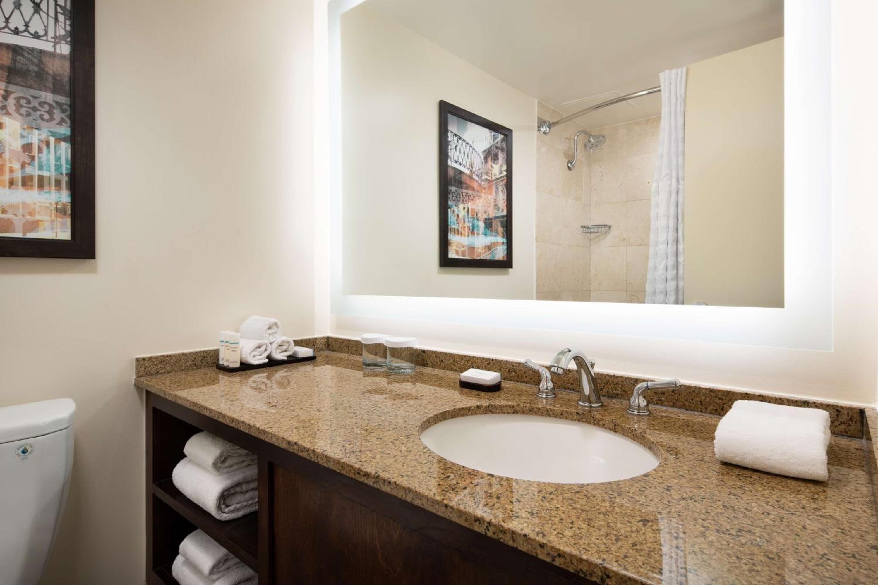 One-Bedroom King Suite - Non-Smoking photo 3