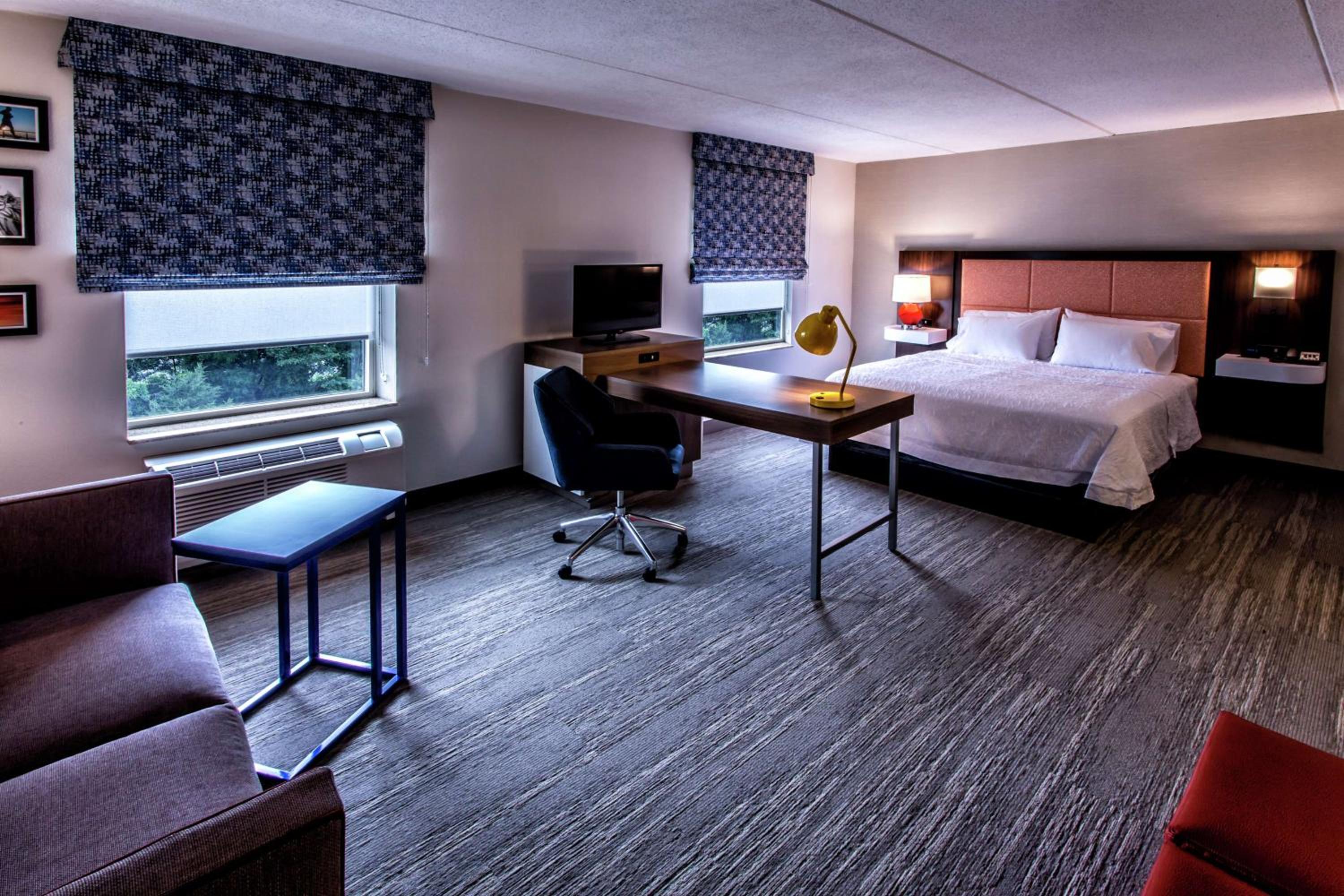 King Studio Suite with Sofa Bed - Non-Smoking - Photo 1