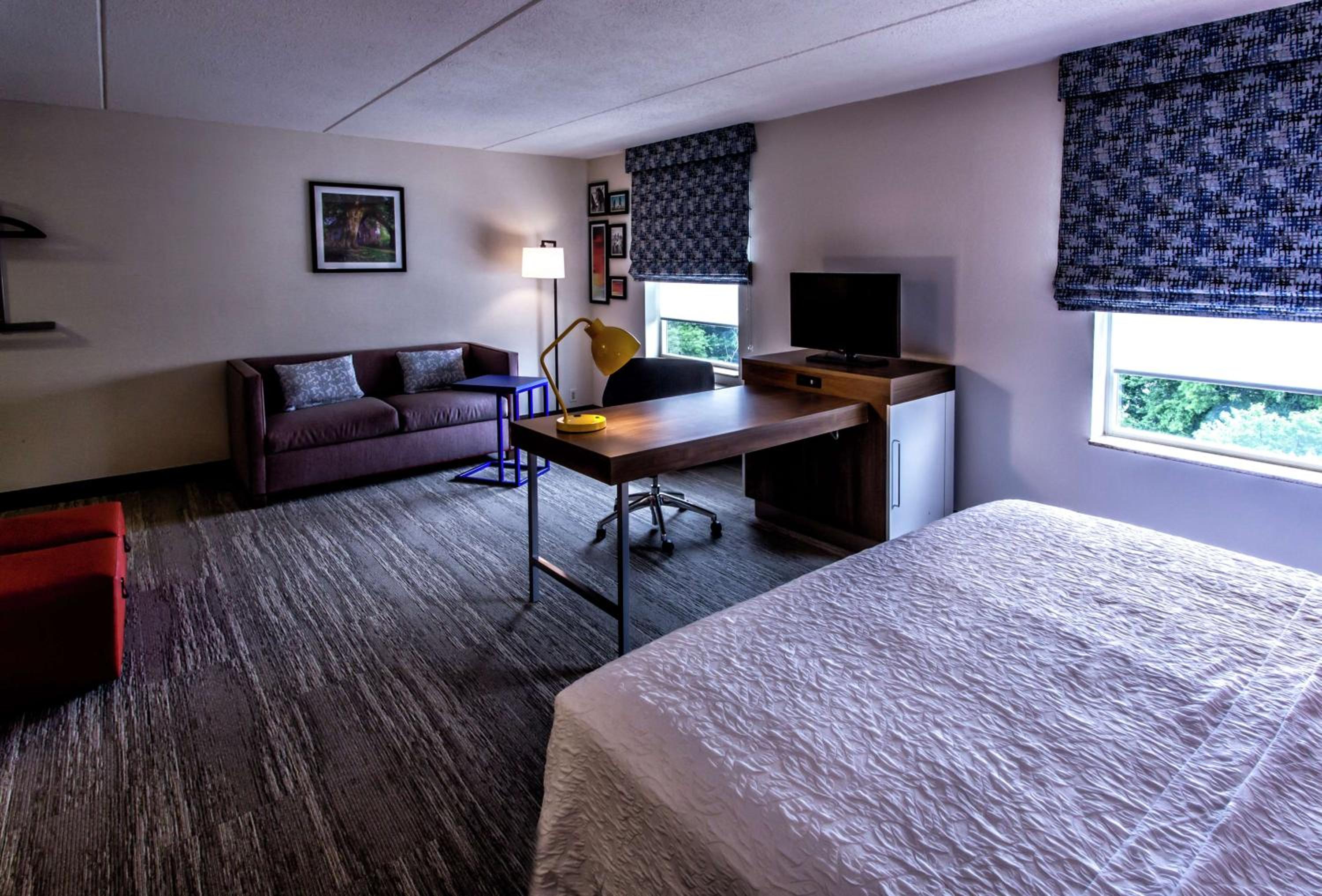 King Studio Suite with Sofa Bed - Non-Smoking - Photo 3
