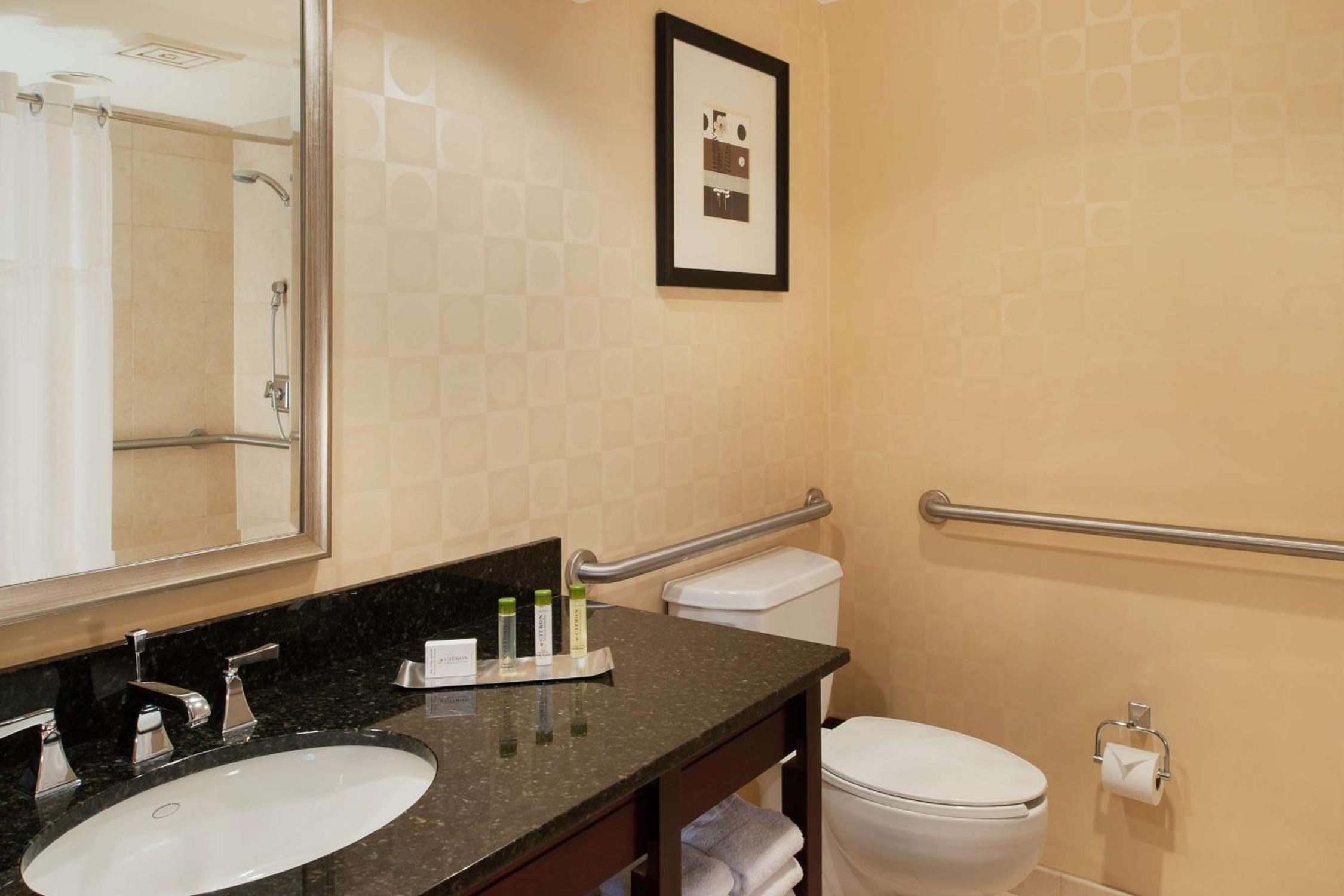 King Room Accessible Tub - Mobility Access/Non-Smoking - Photo 7