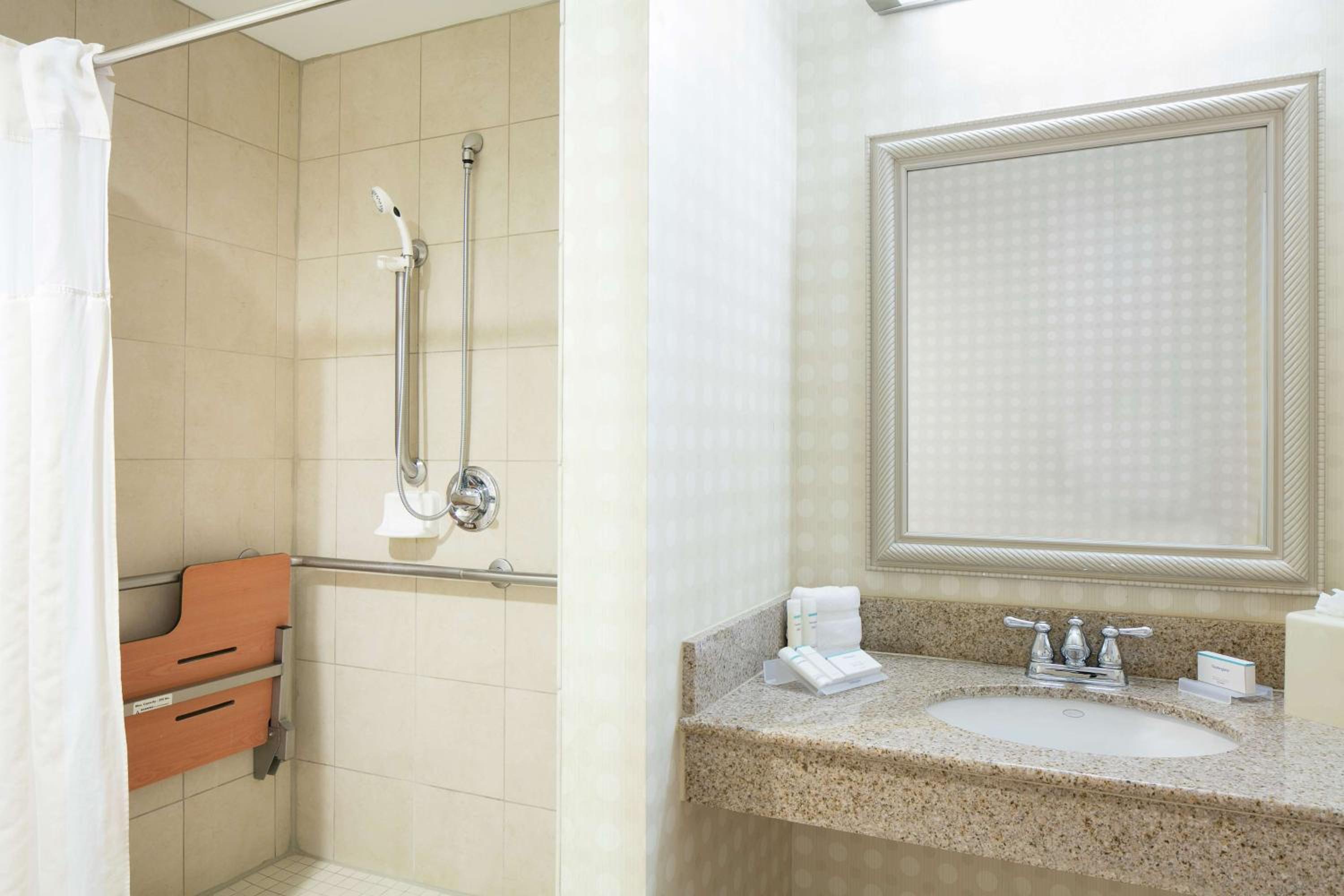 King Room with Roll-In Shower - Mobility Access - Photo 2
