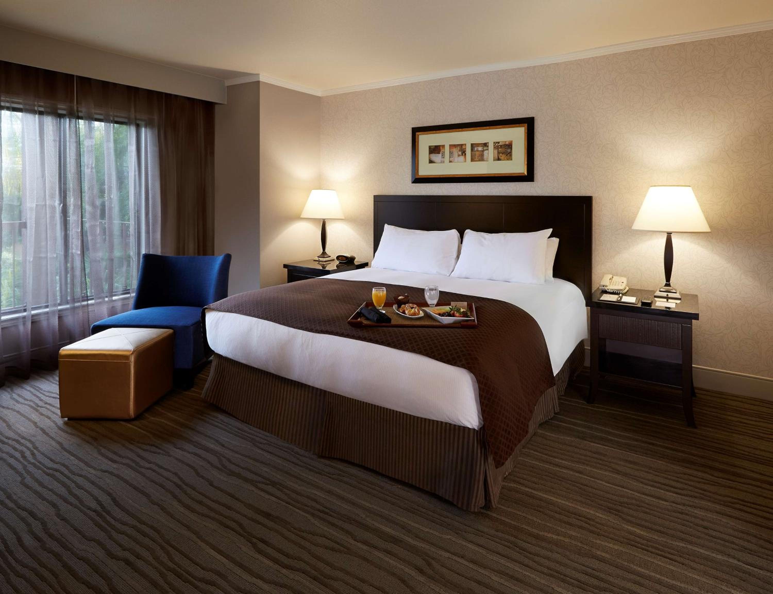 King Suite with Patio - Photo 1