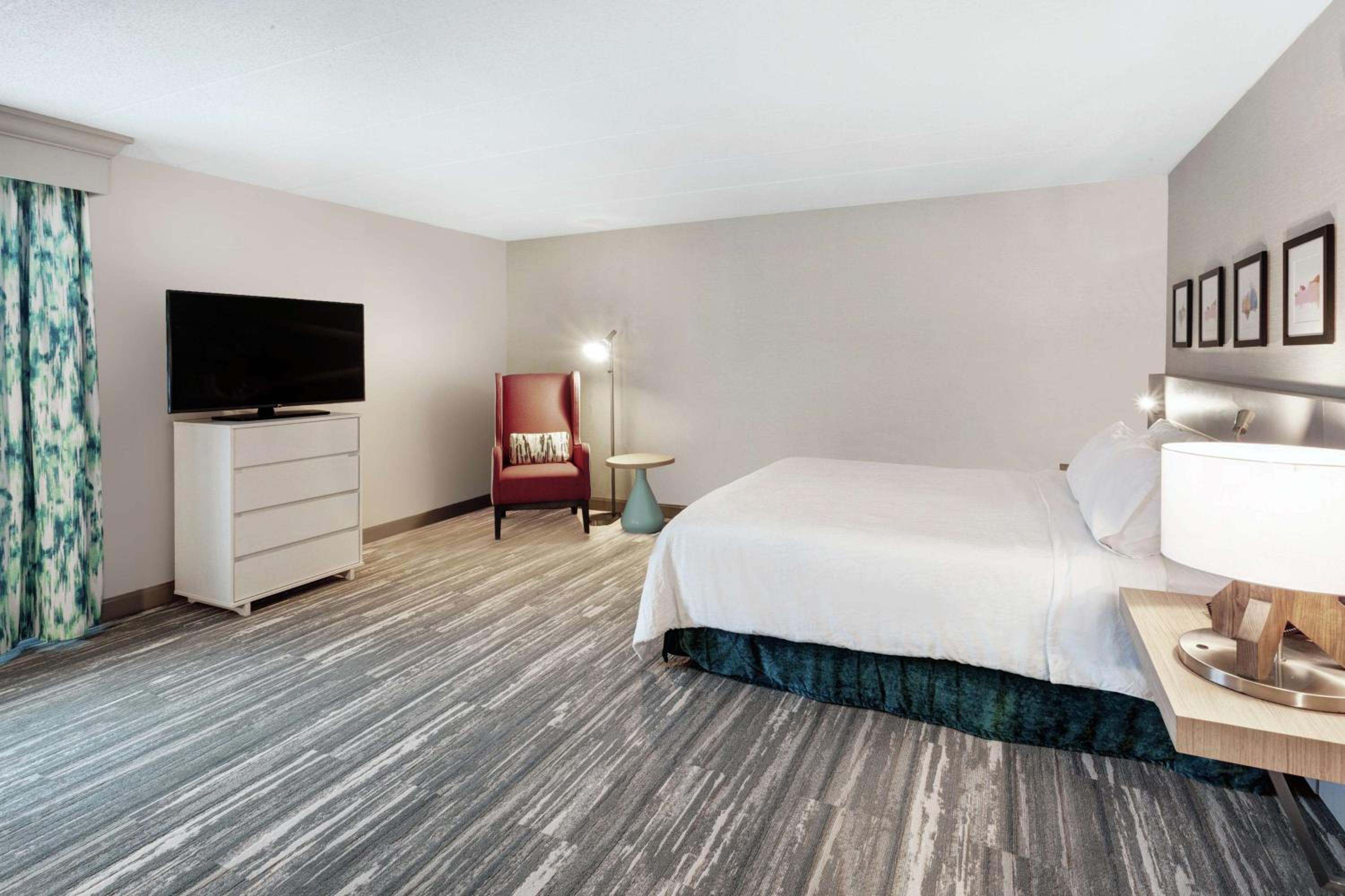King Room with Roll-In Shower - Mobility/Hearing Accessible - Photo 3