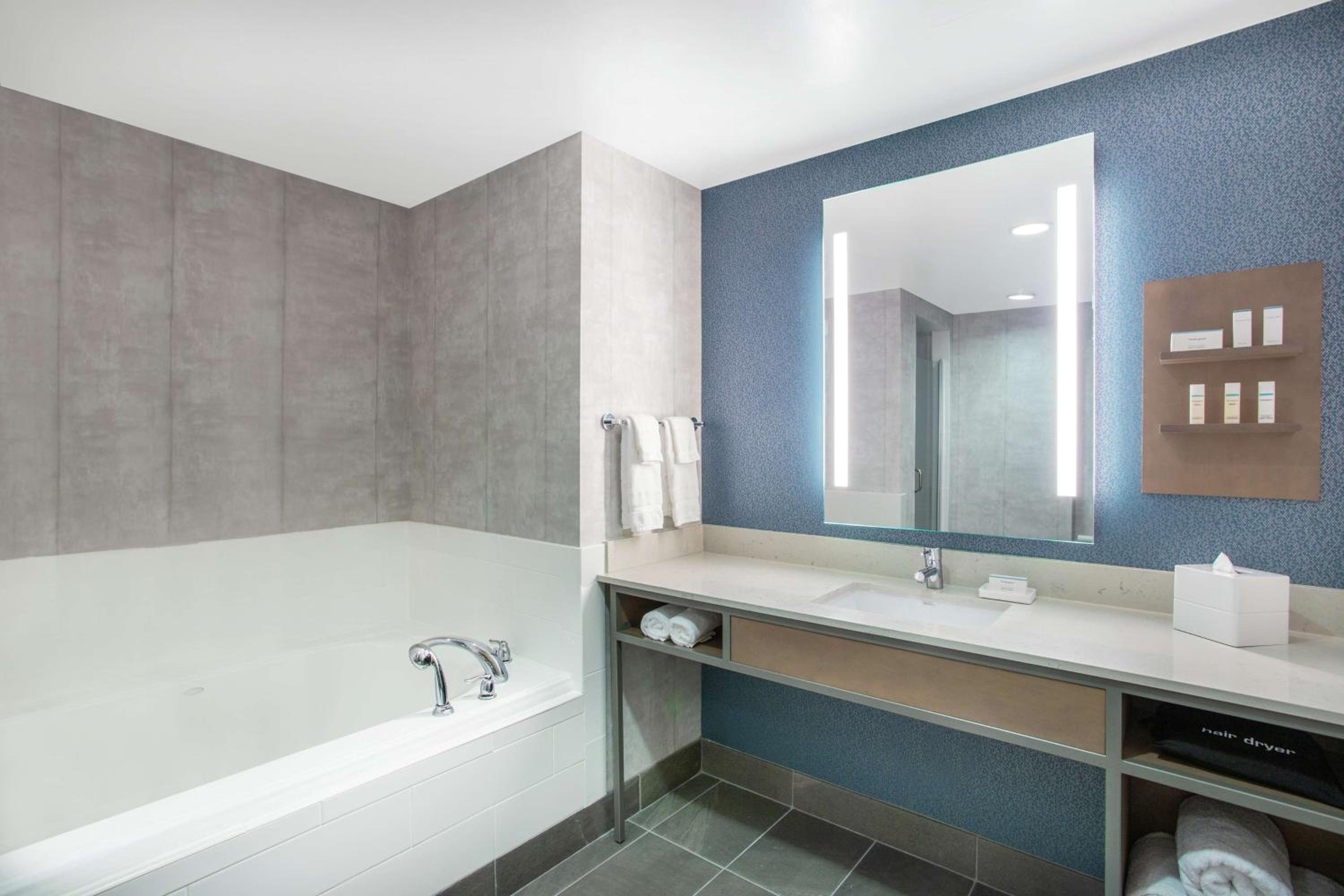 One-Bedroom Suite - Photo 4