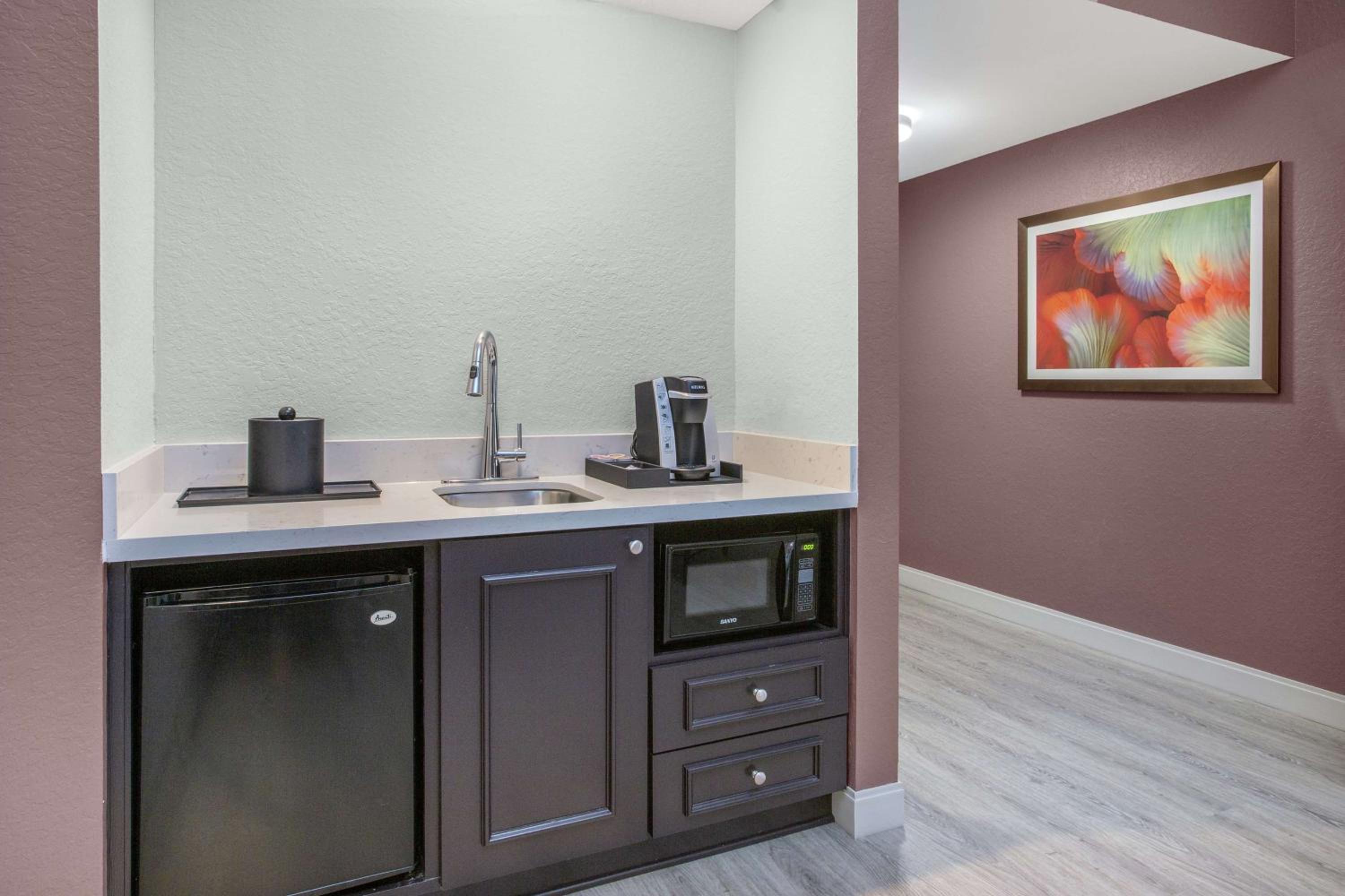 One-Bedroom Suite - Photo 6