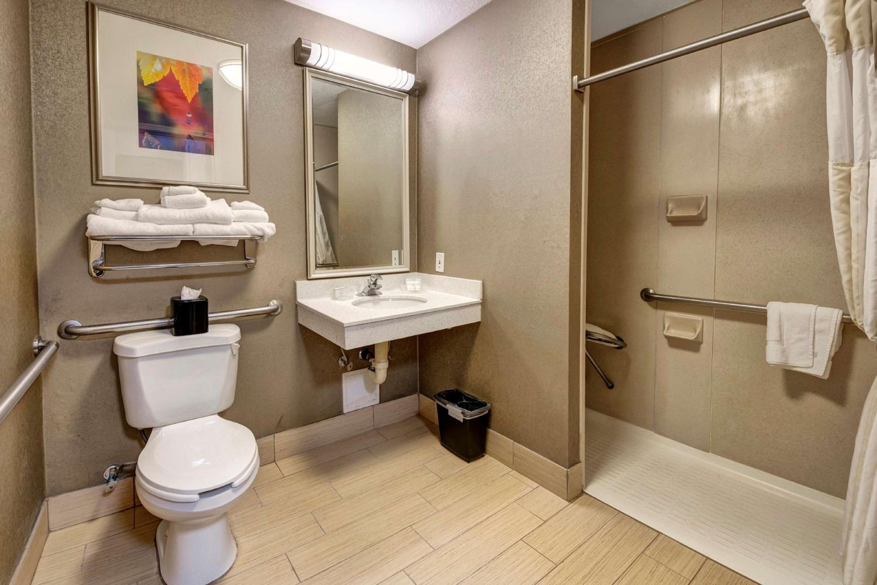 King Room with Walk-In Shower - Photo 2
