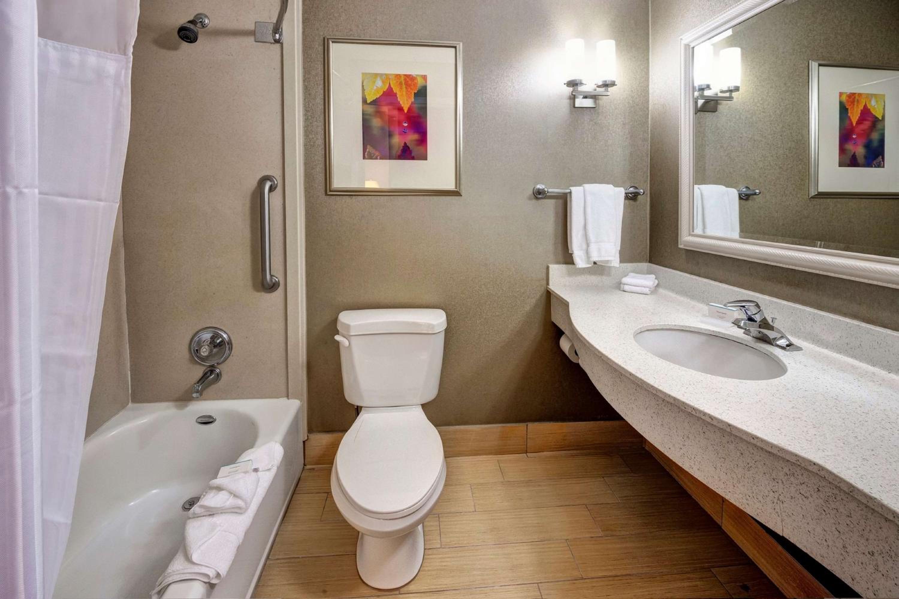 One-Bedroom King Suite with Sofa Bed - Photo 2