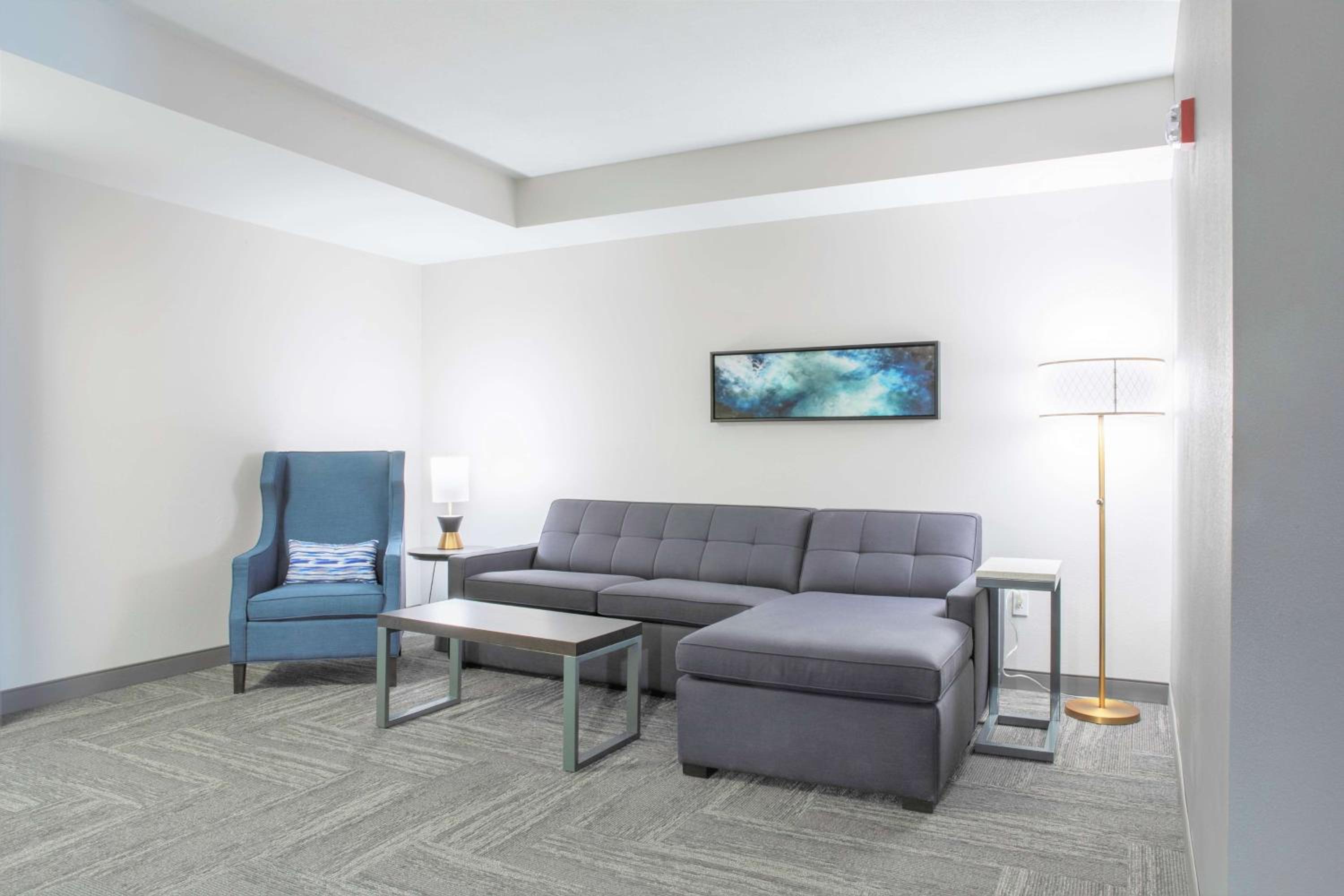 Junior King Suite with Bath Tub - Mobility Access - Photo 1