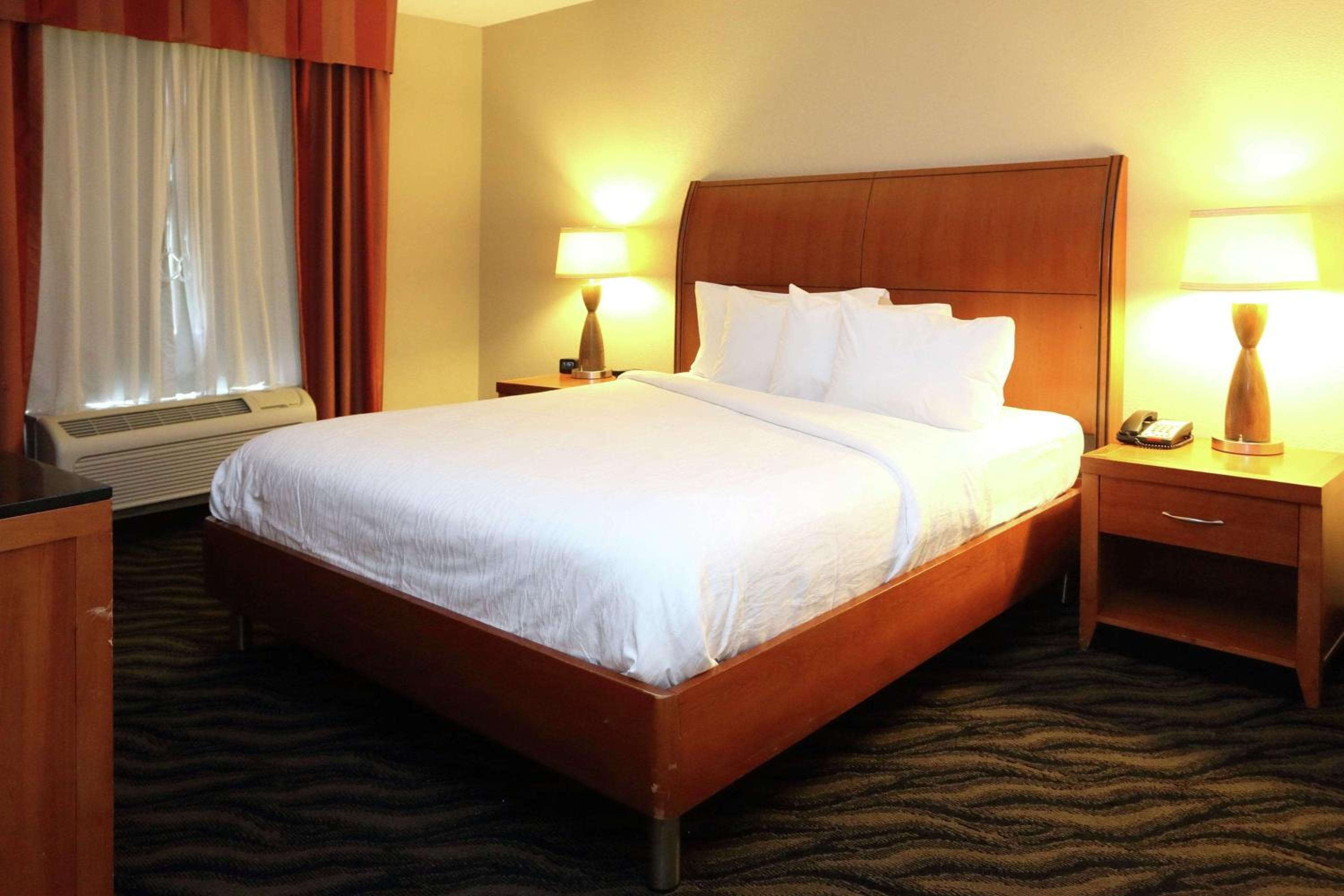 One-Bedroom King Suite - Photo 1