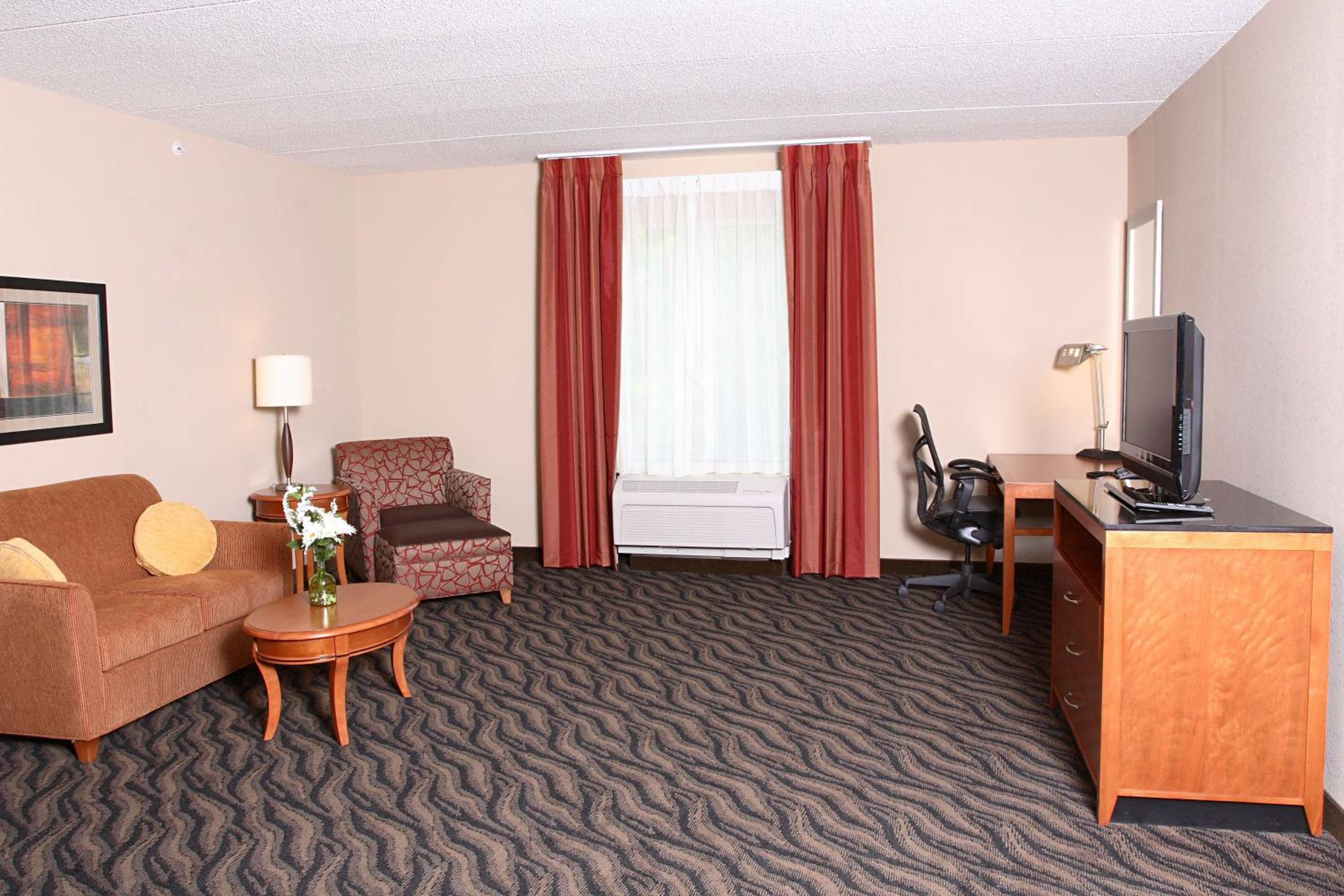 Deluxe King Suite with Shower - Mobility and Hearing Access - Photo 3