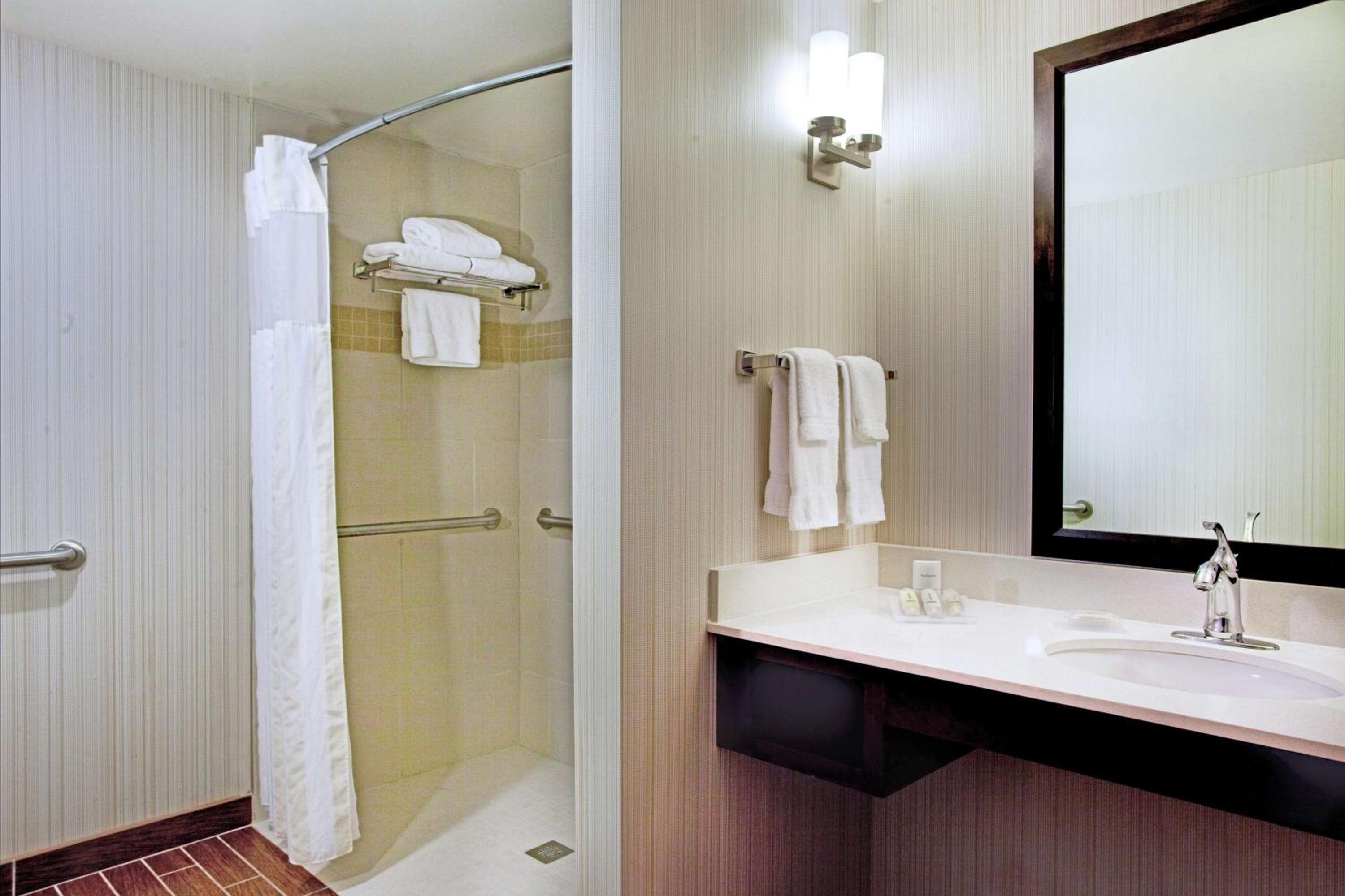 King Room with Roll-In Shower - Mobility/Hearing Accessible - Photo 4