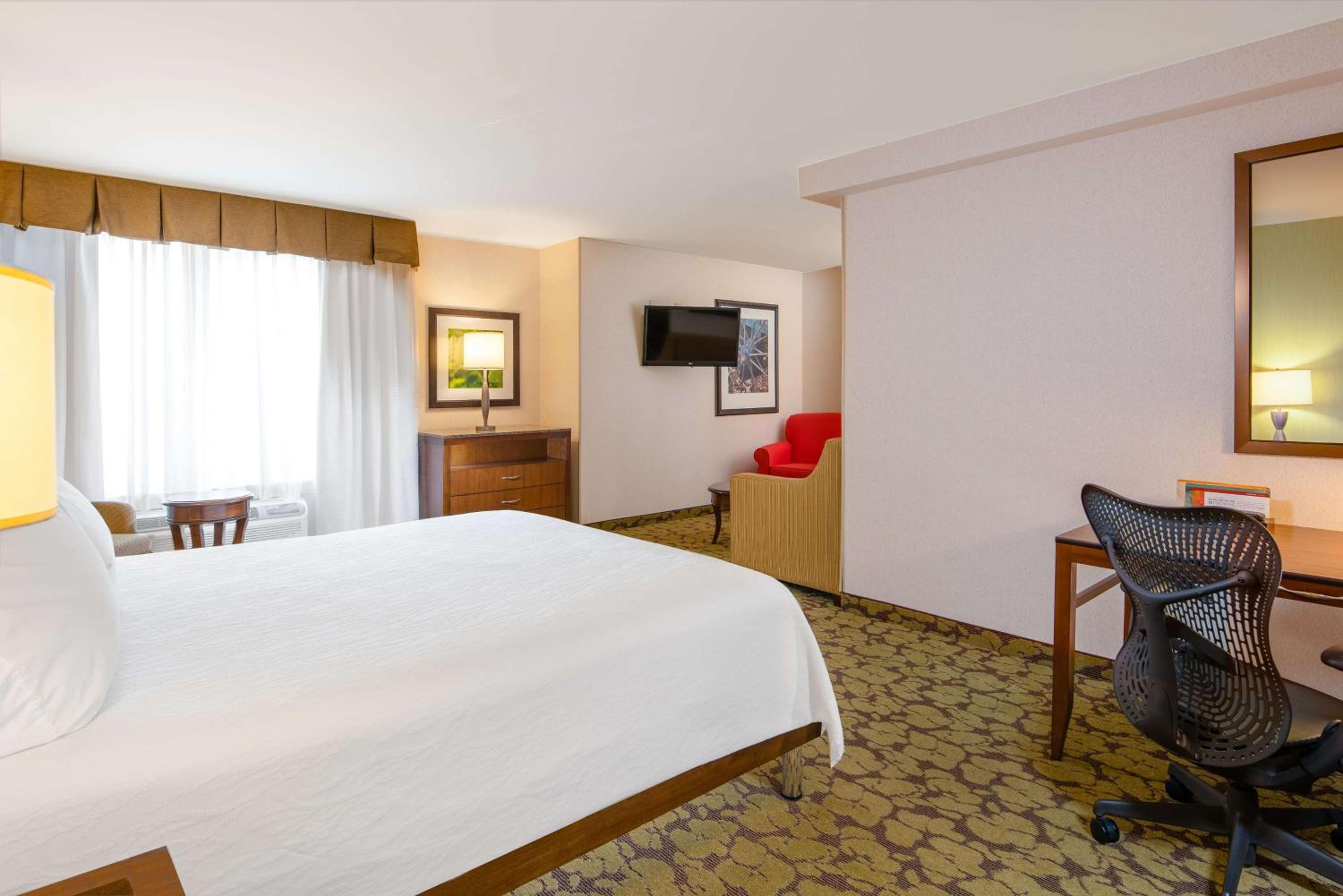 Junior King Suite with Sofa Bed - Photo 1