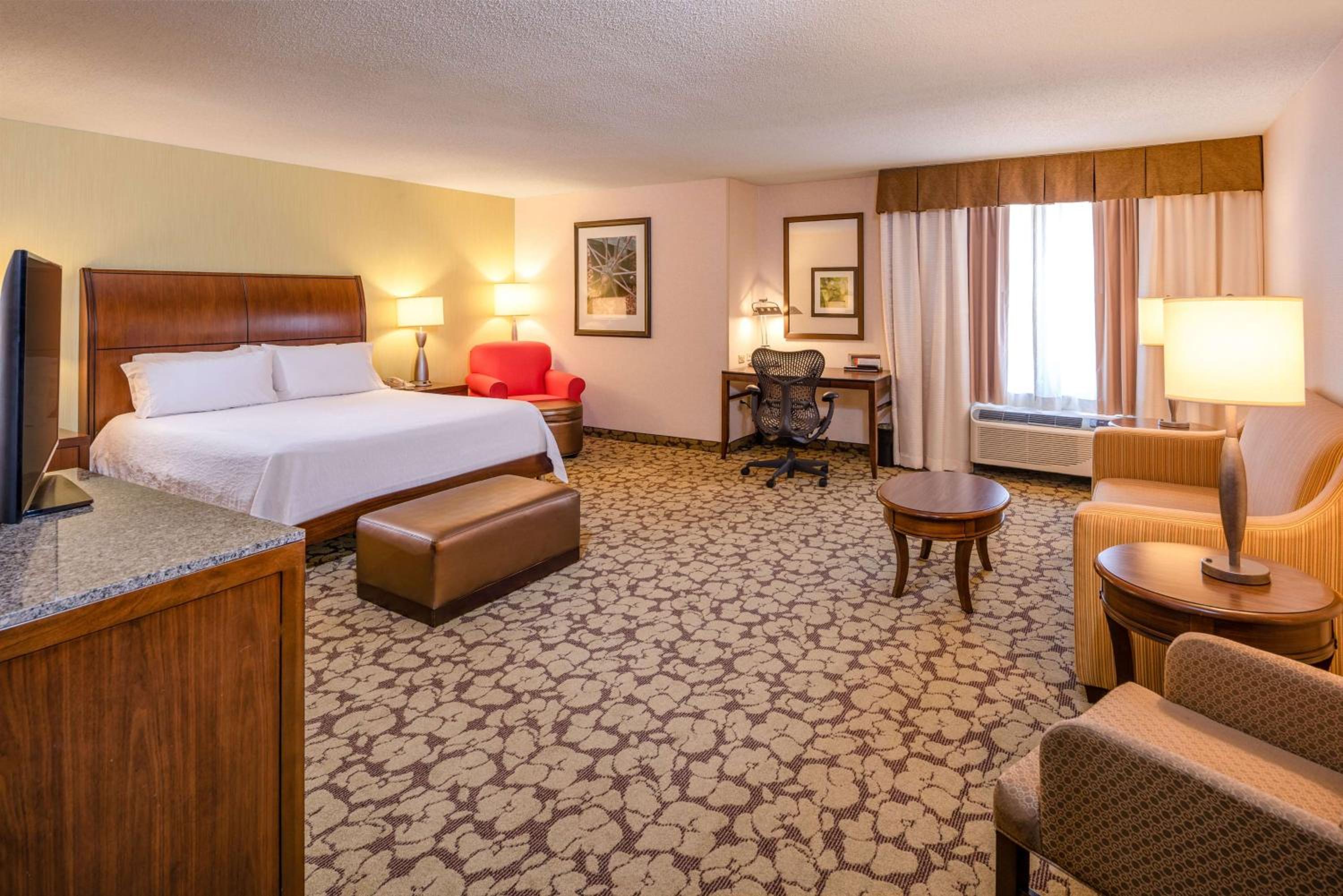 Deluxe King Room with Sofa Bed