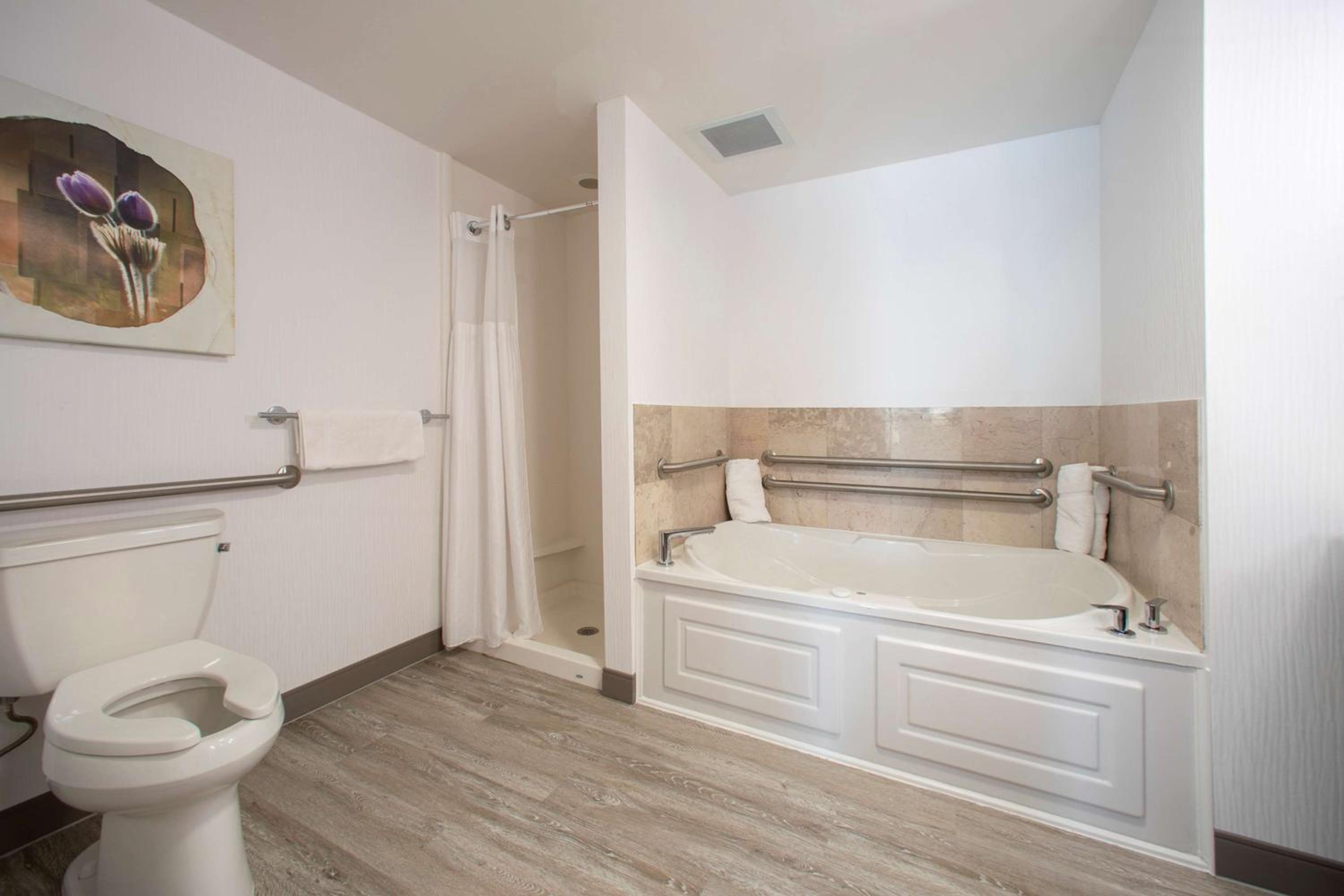 One-Bedroom King Suite - Photo 3