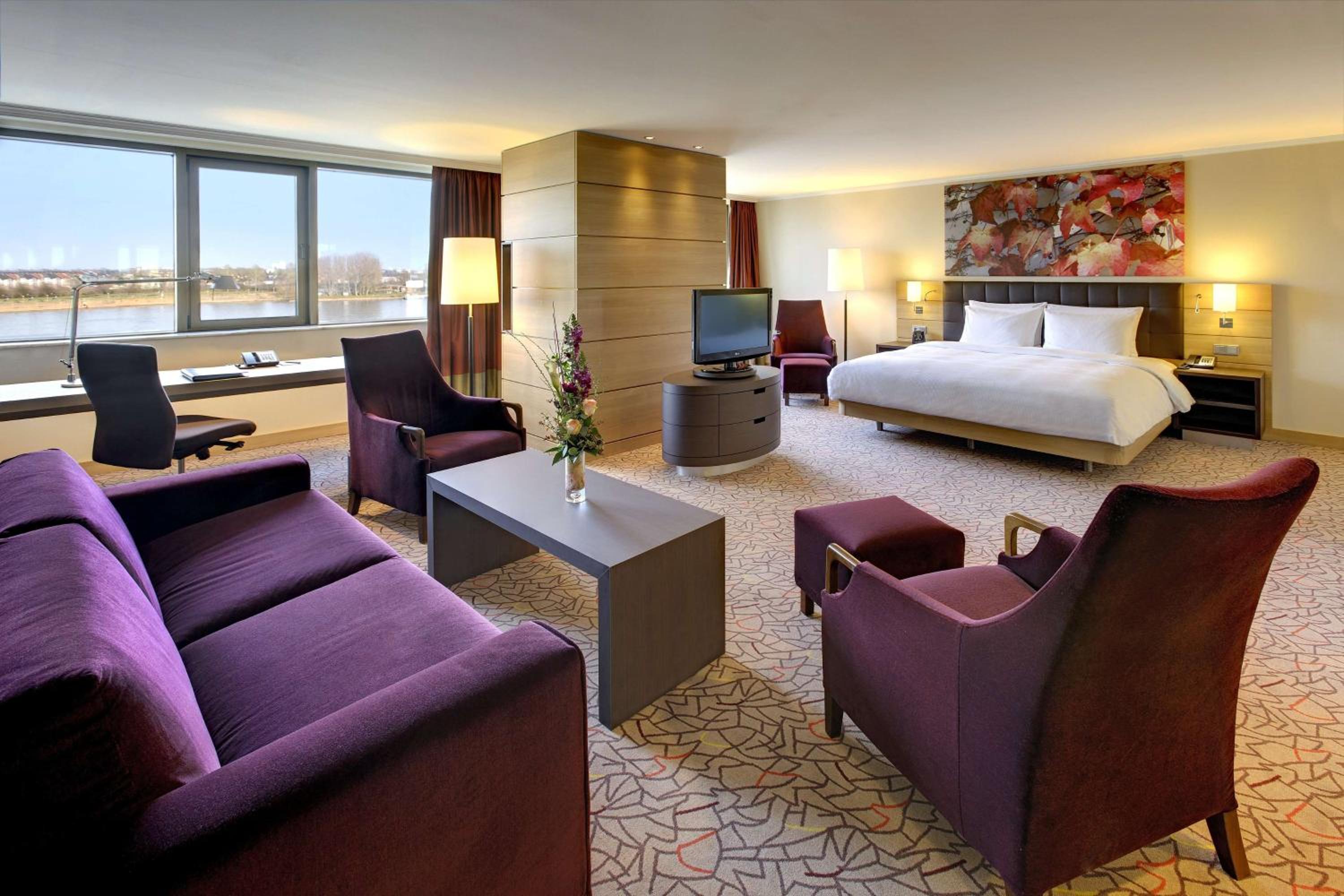 King Junior Suite with River View - Rhine Wing