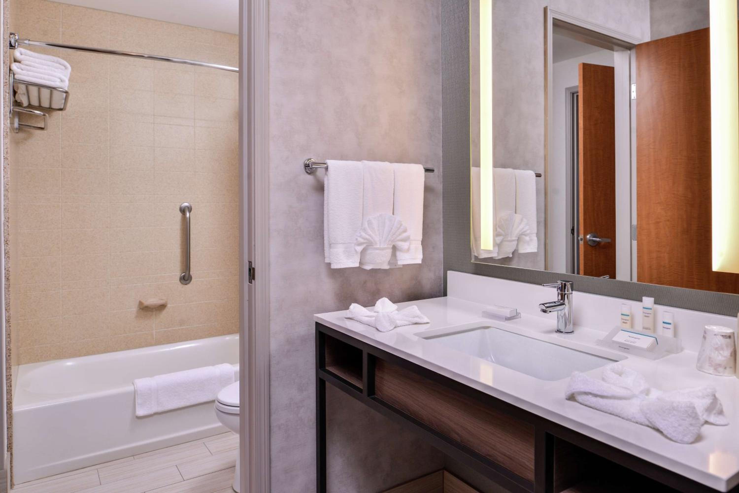 Two-Bedroom King Suite with Sofa Bed - Photo 4