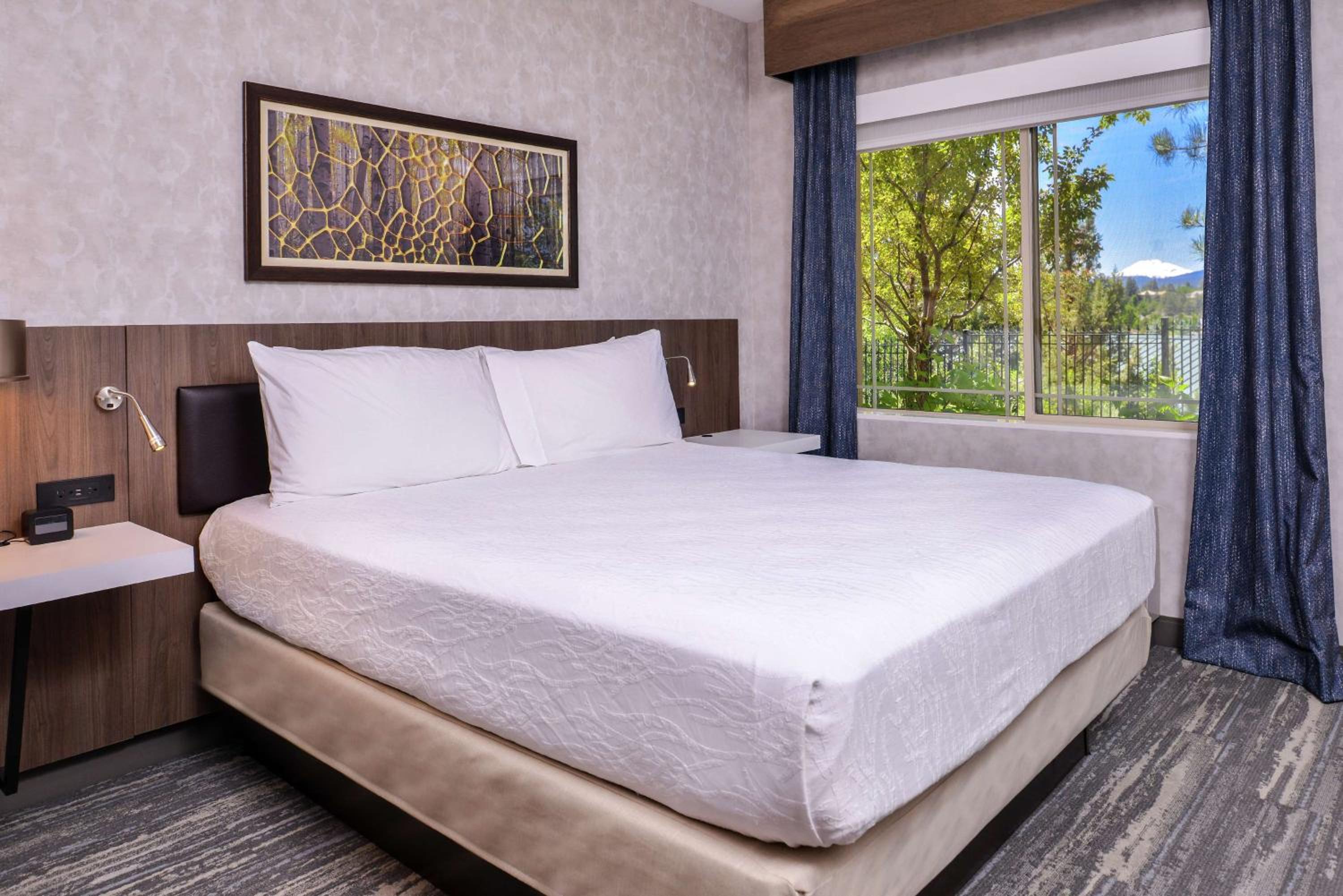 Two-Bedroom King Suite with Sofa Bed - Photo 1