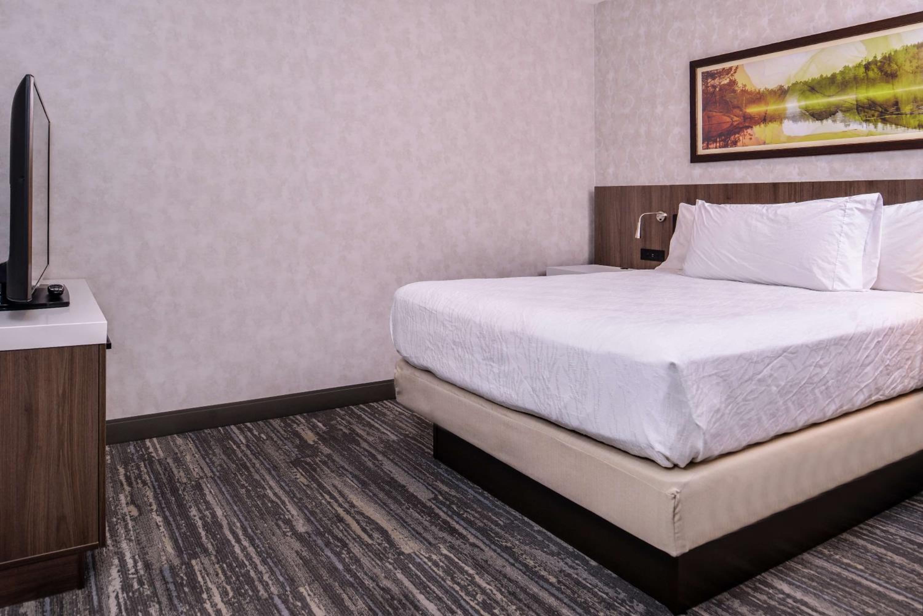 King Suite photo 2