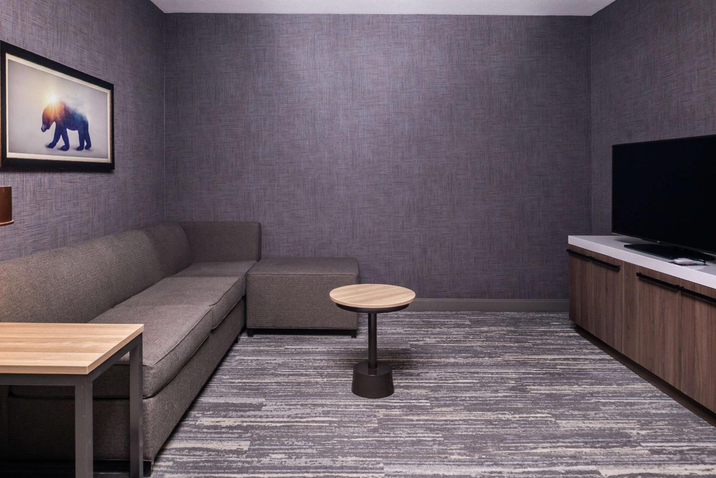 Two-Bedroom King Suite with Sofa Bed - Photo 6