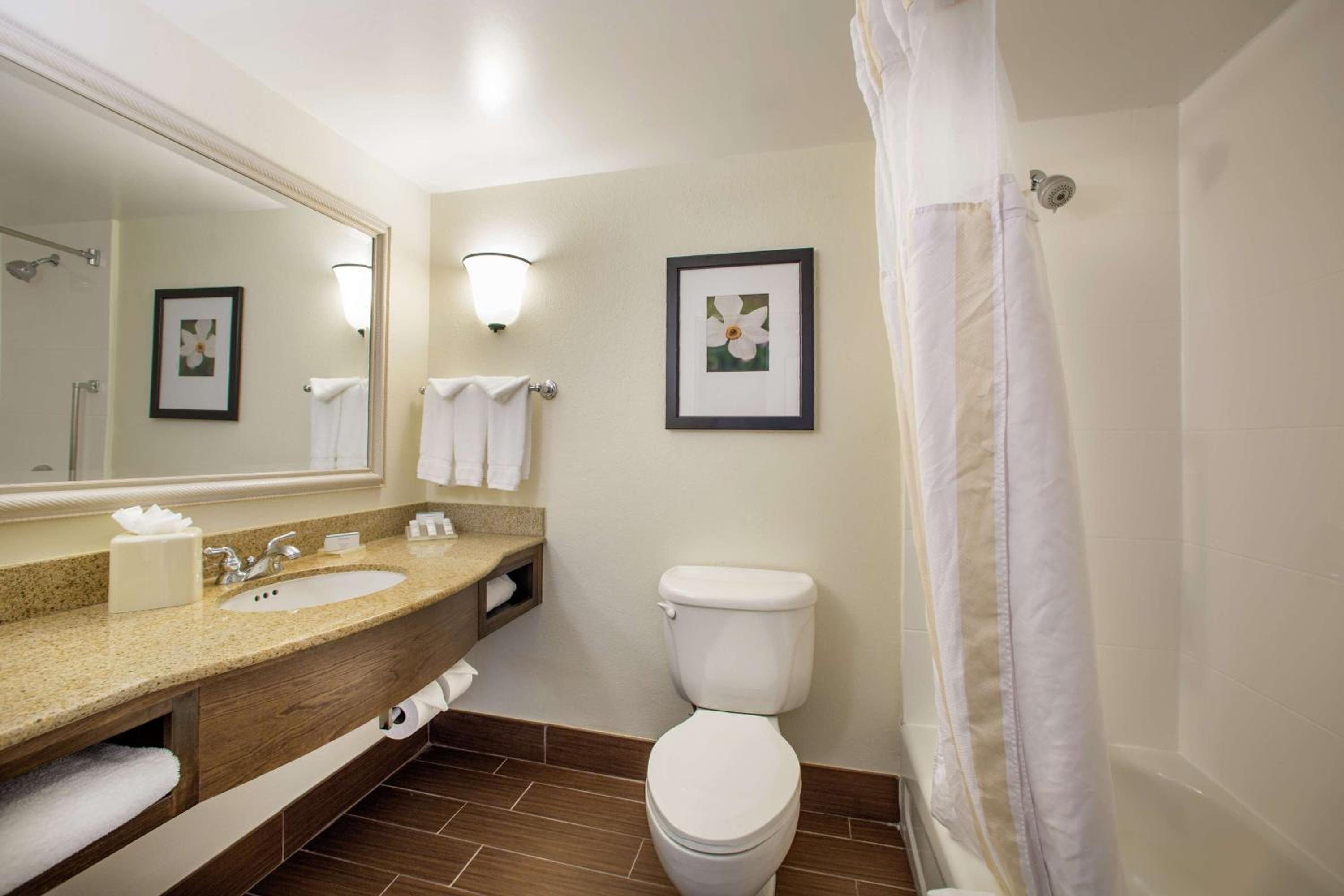 King Room - Photo 4