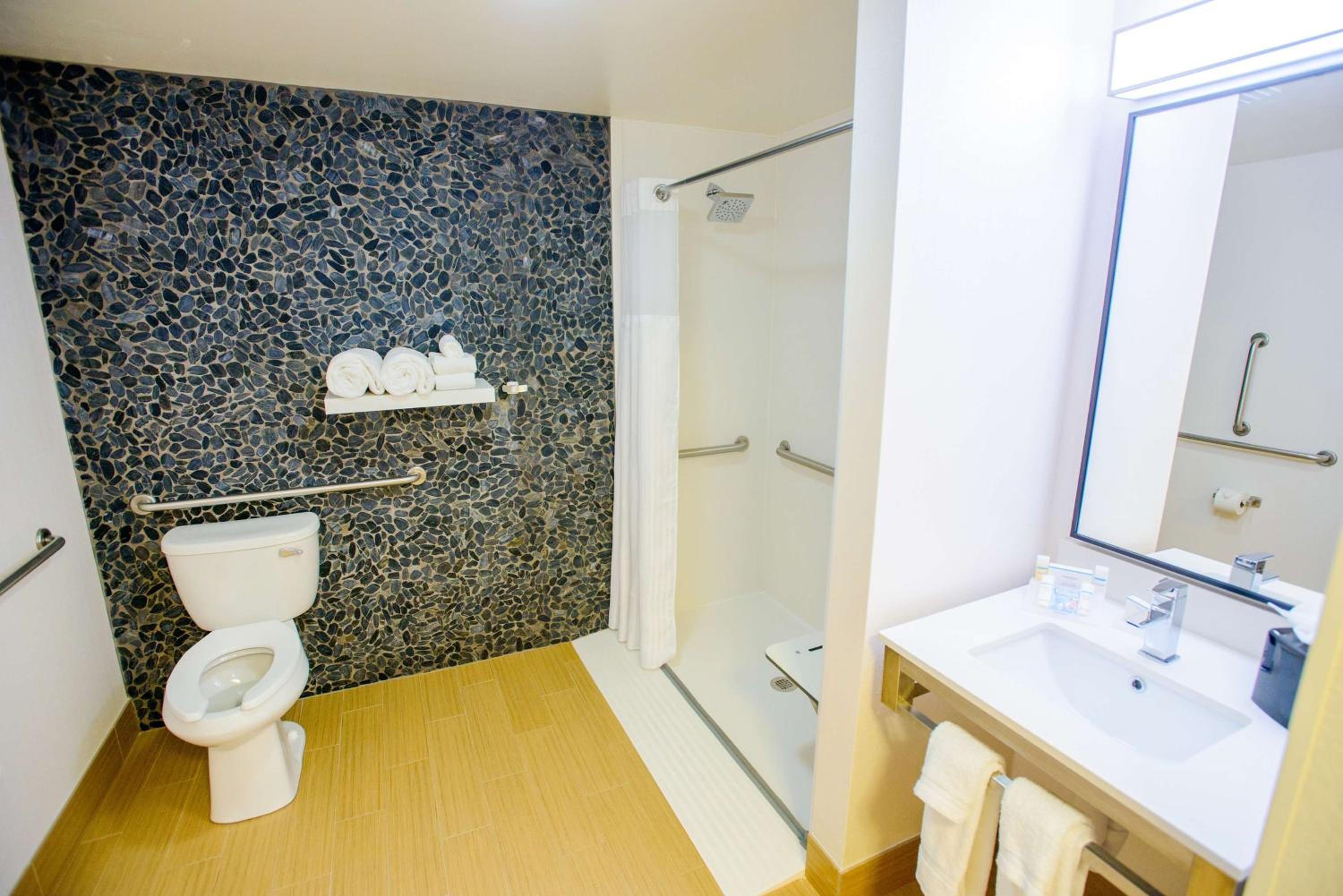 King Room with Roll-In Shower - Mobility Access - Photo 1