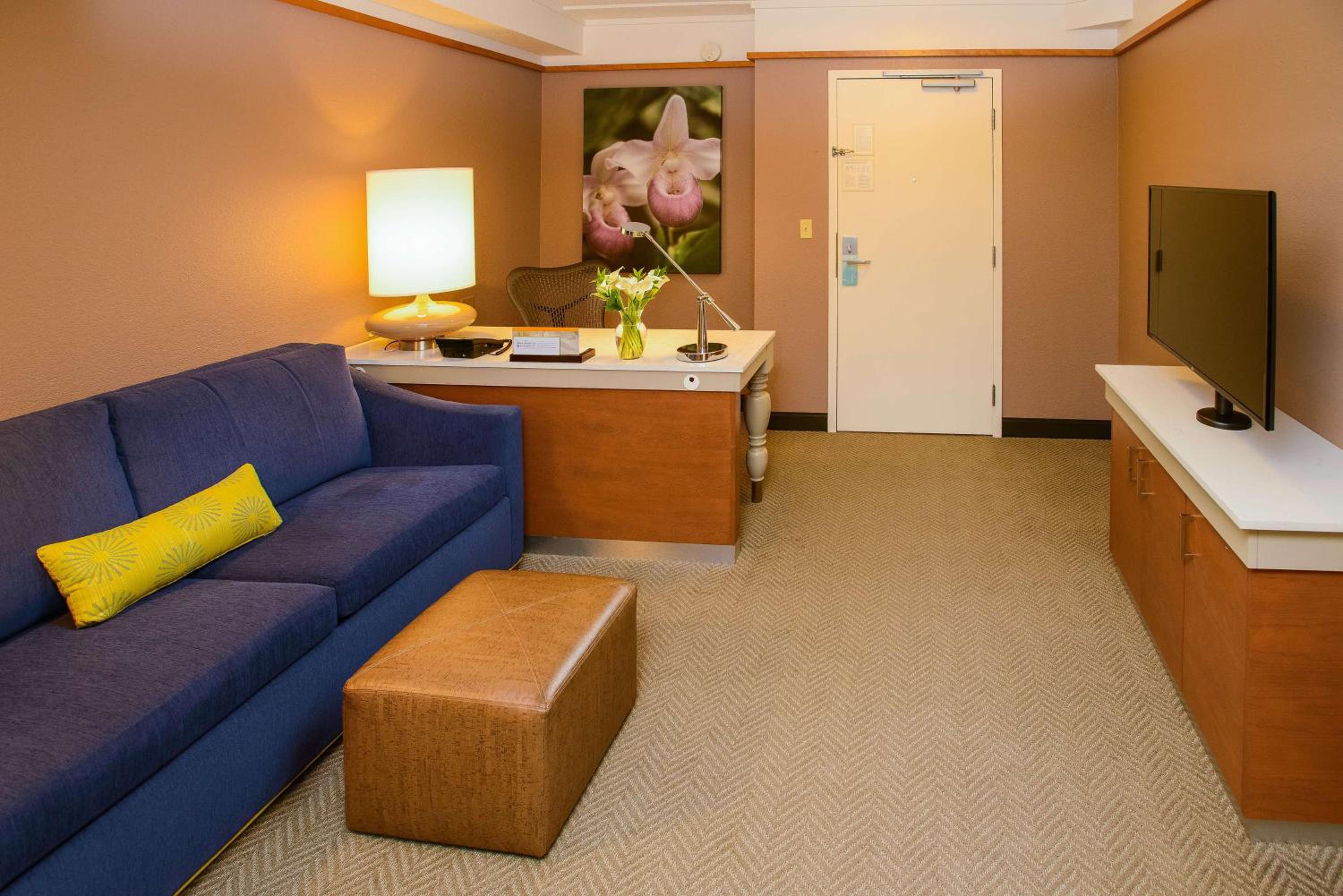 Junior King Suite with Seating Area - Photo 4