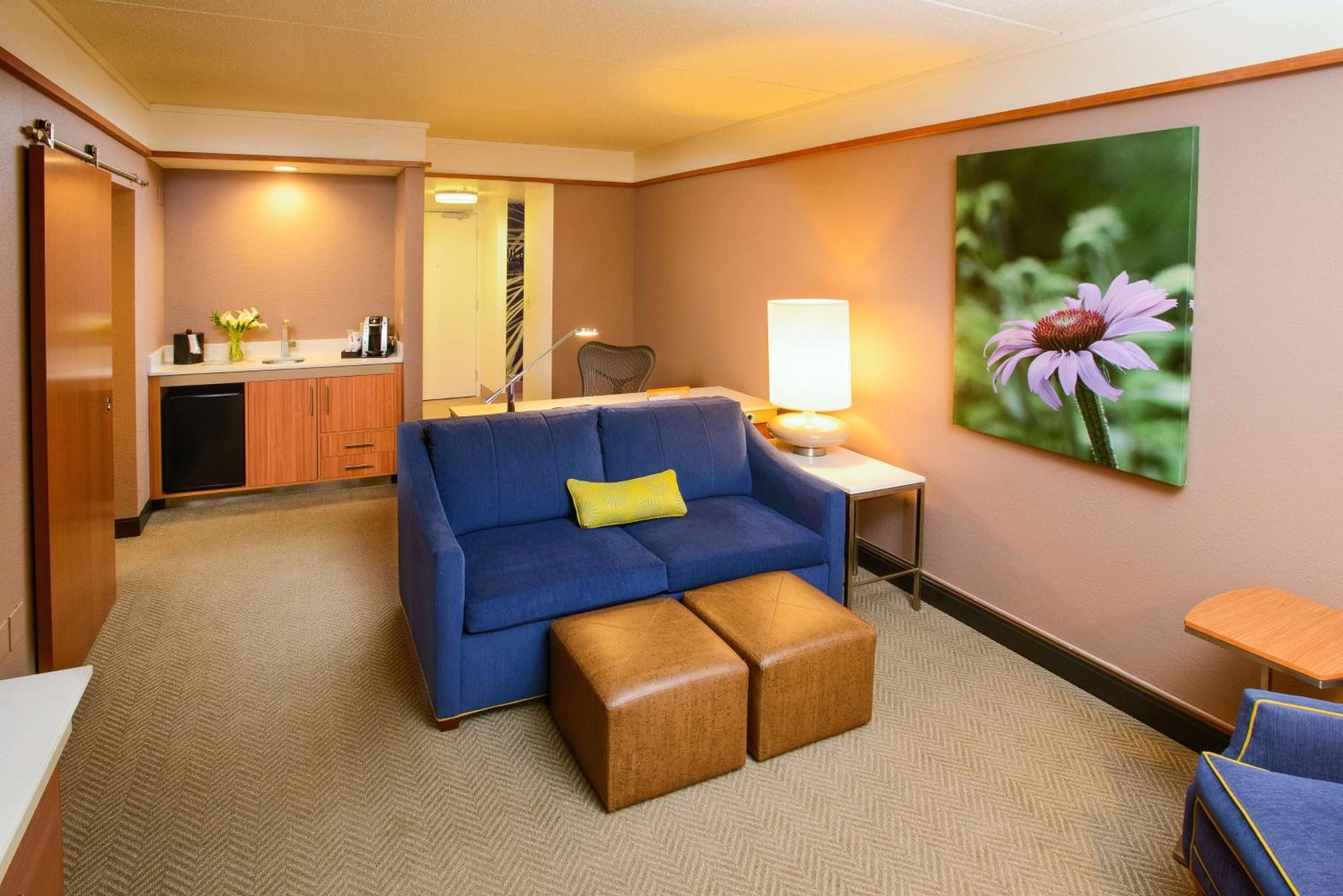 One-Bedroom Deluxe Suite with Sofa Bed - Photo 6