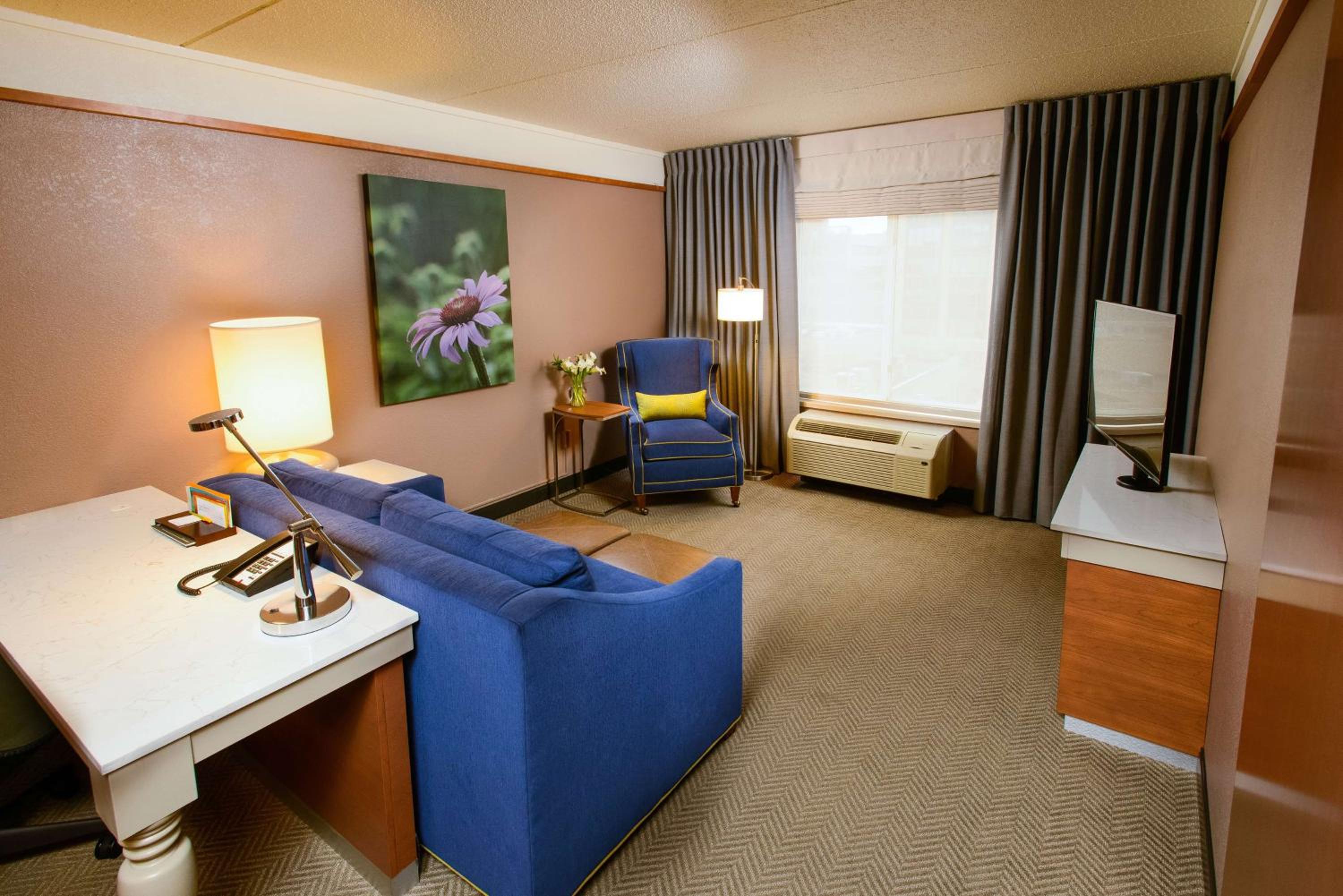 One-Bedroom Deluxe Suite with Sofa Bed - Photo 7
