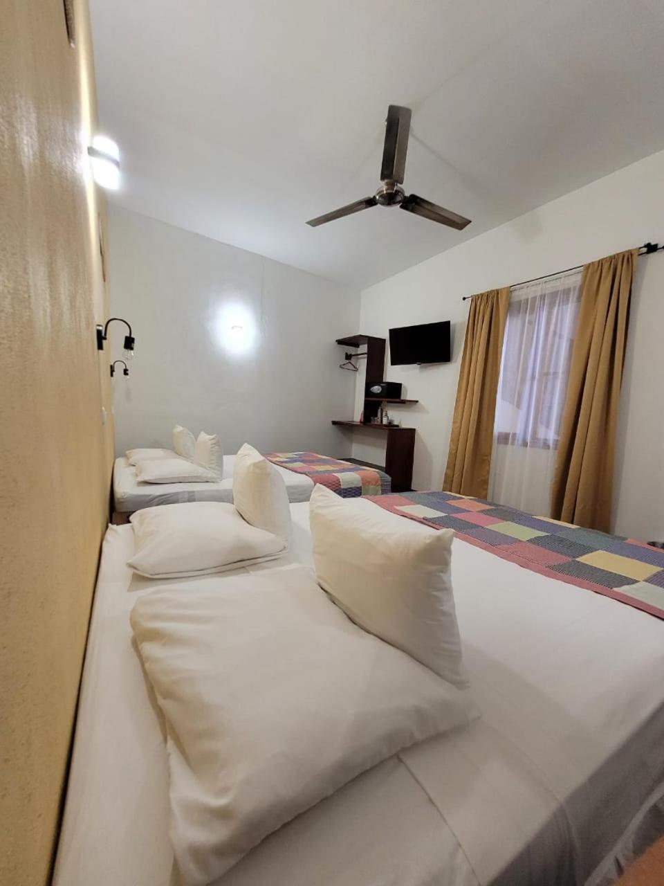 Standard Double Suite photo 1