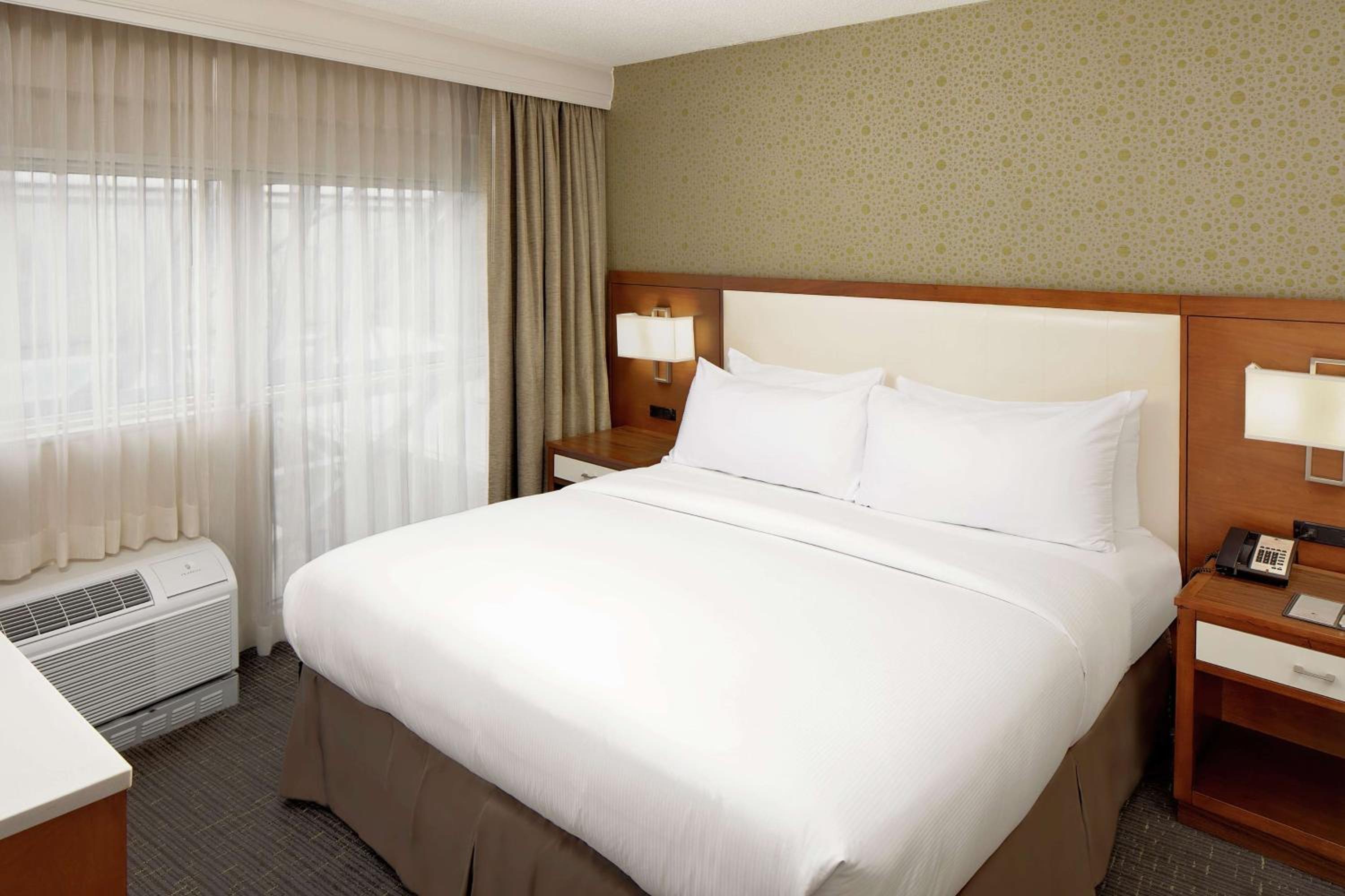 Junior King Suite - Non-Smoking - Photo 1