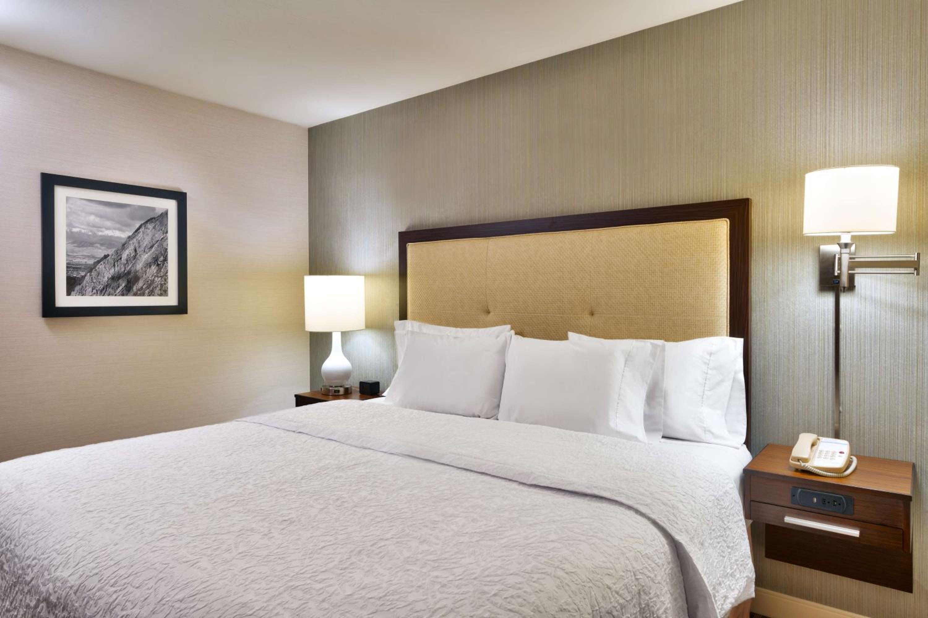 Deluxe King Room With Sofa Bed - Non-Smoking