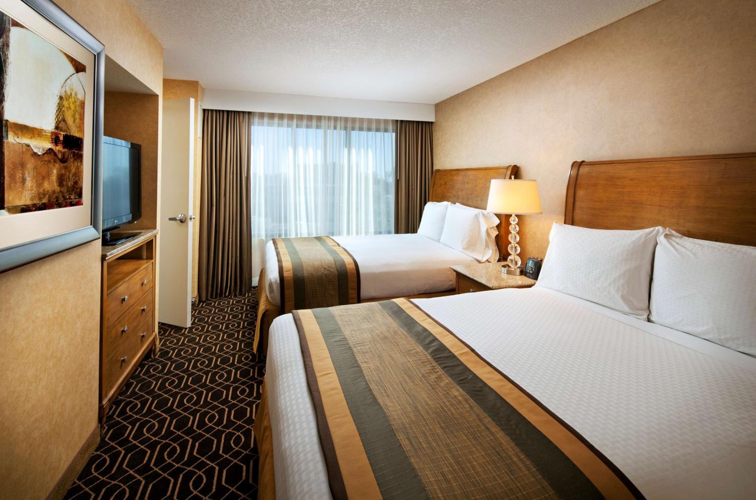One-Bedroom Queen Suite with Sofa Bed - Photo 3