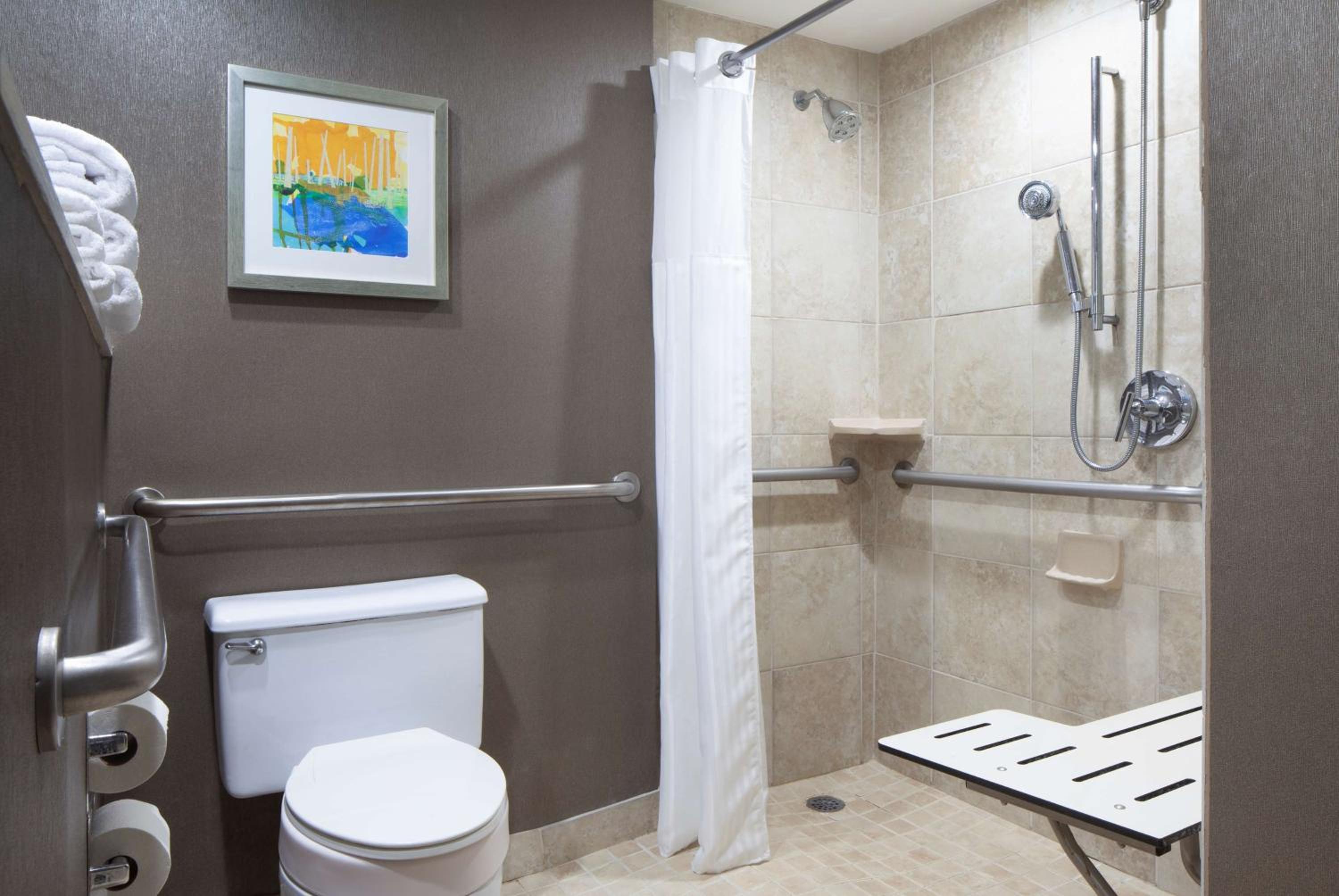 King Room with Roll-In Shower - Mobility Access - Photo 2