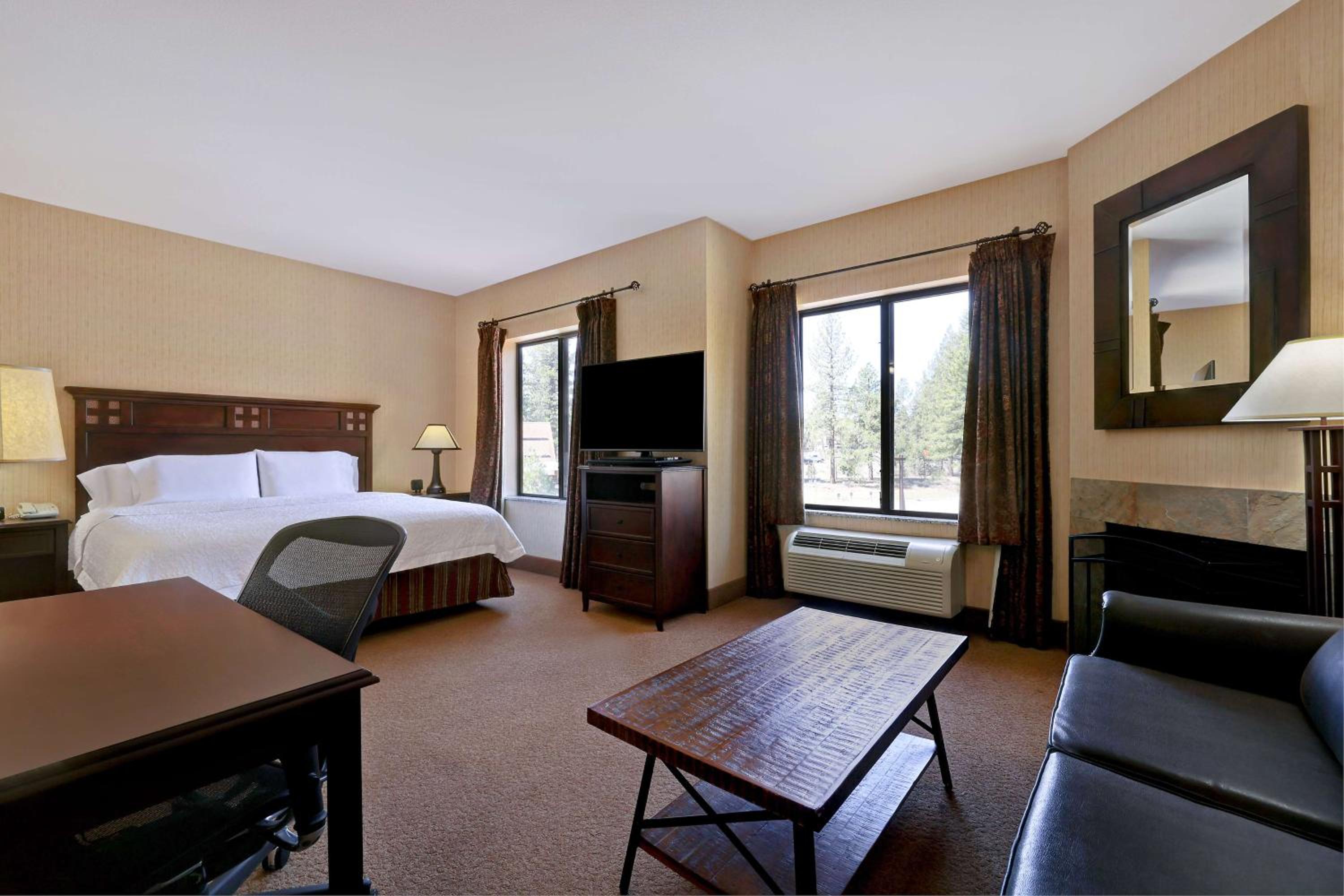 King Studio Suite With Sofa Bed - Non-Smoking - Photo 3