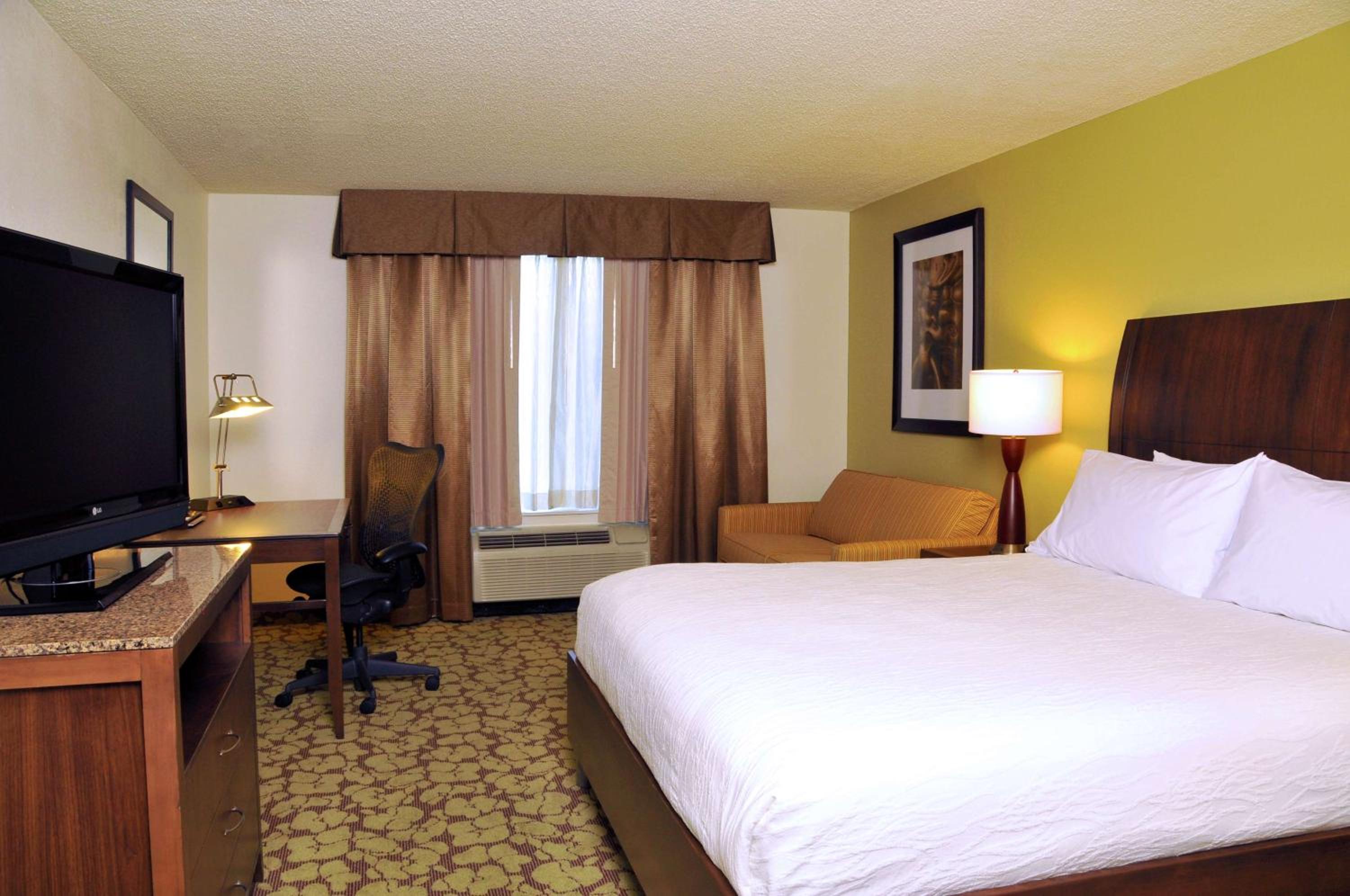 One-Bedroom King Suite with Sofa Bed - Photo 1