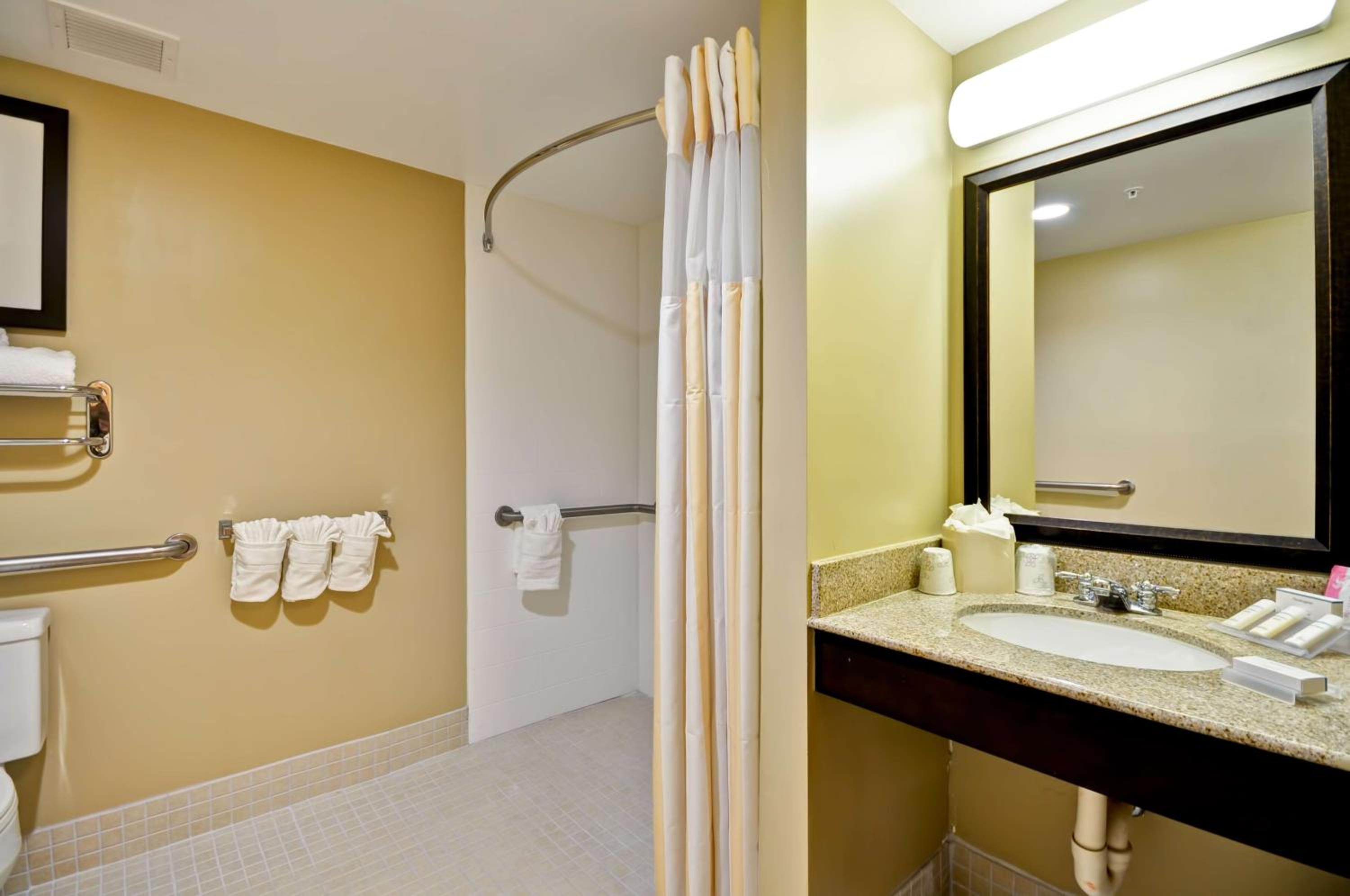 King Room with Roll-In Shower - Mobility Access - Photo 3