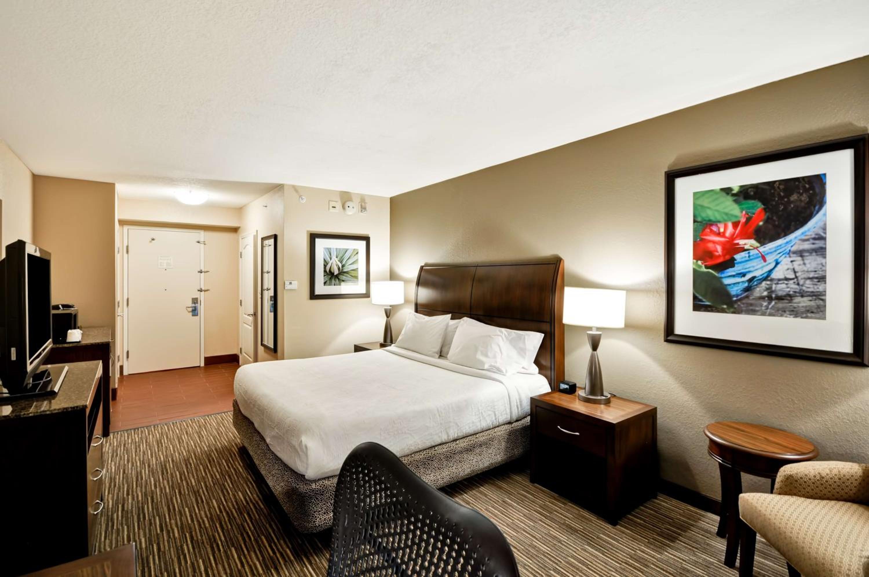 King Room - Photo 4