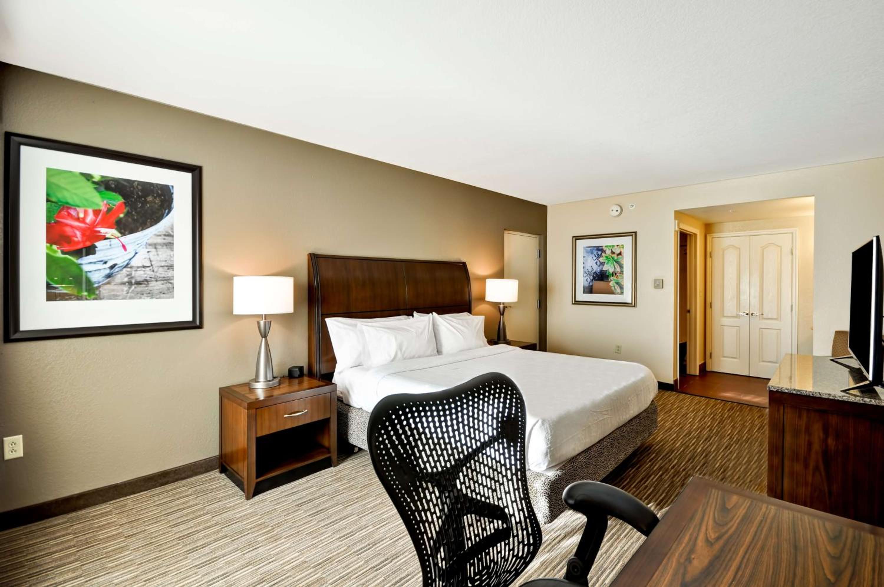 Junior King Suite with Sofa Bed - Photo 2