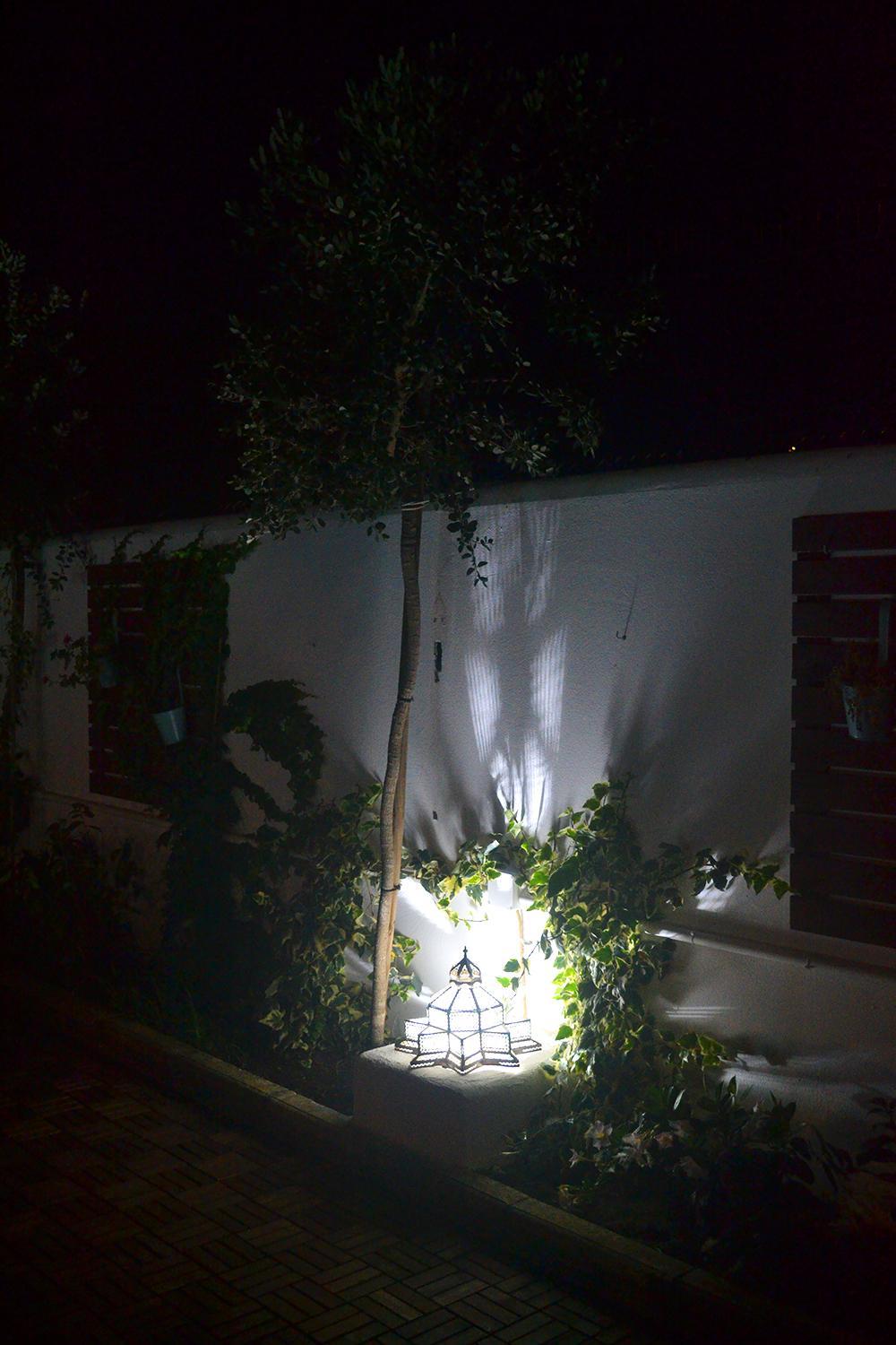 Three-Bedroom House photo 3